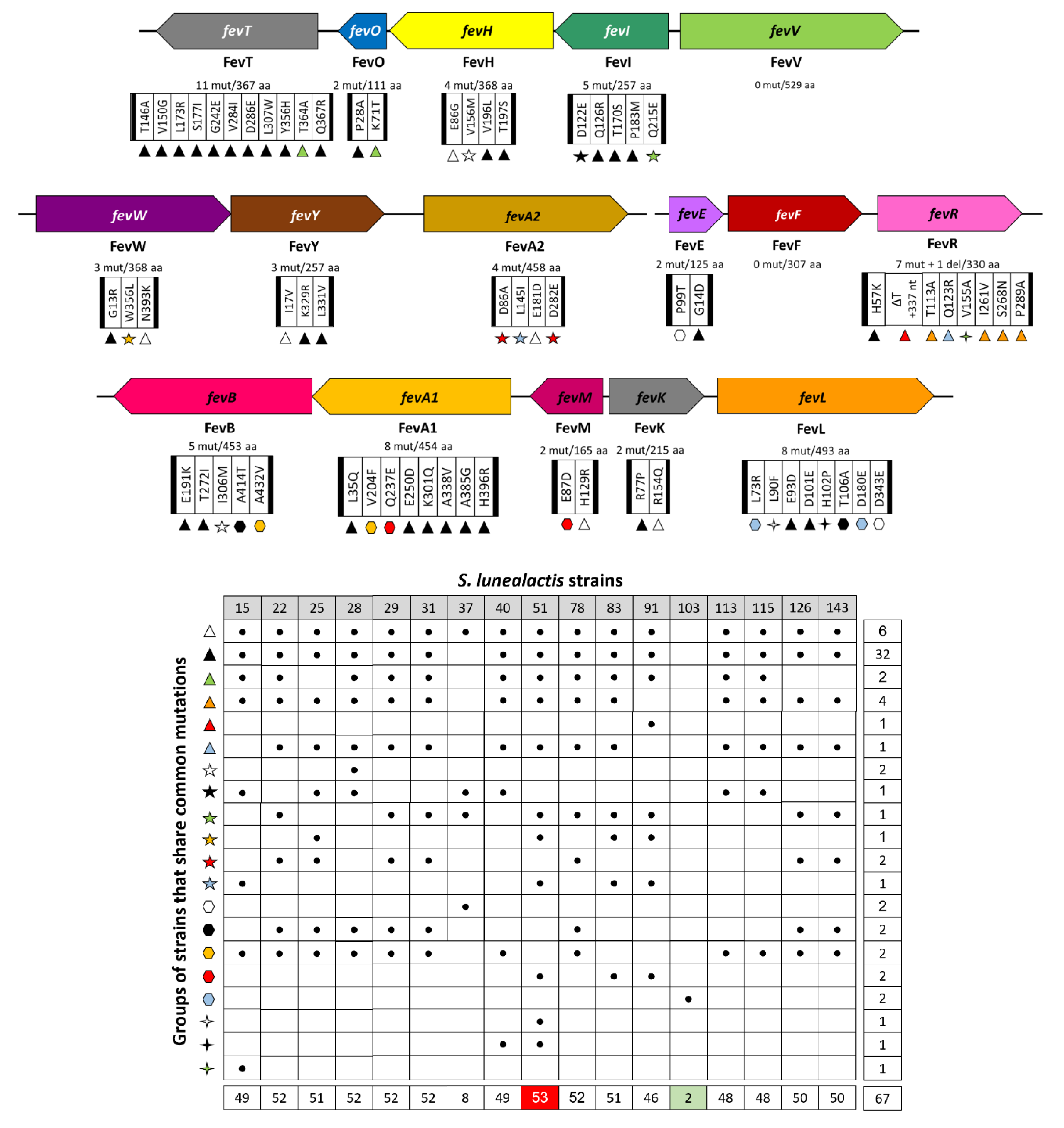 Biomolecules 10 01027 g004