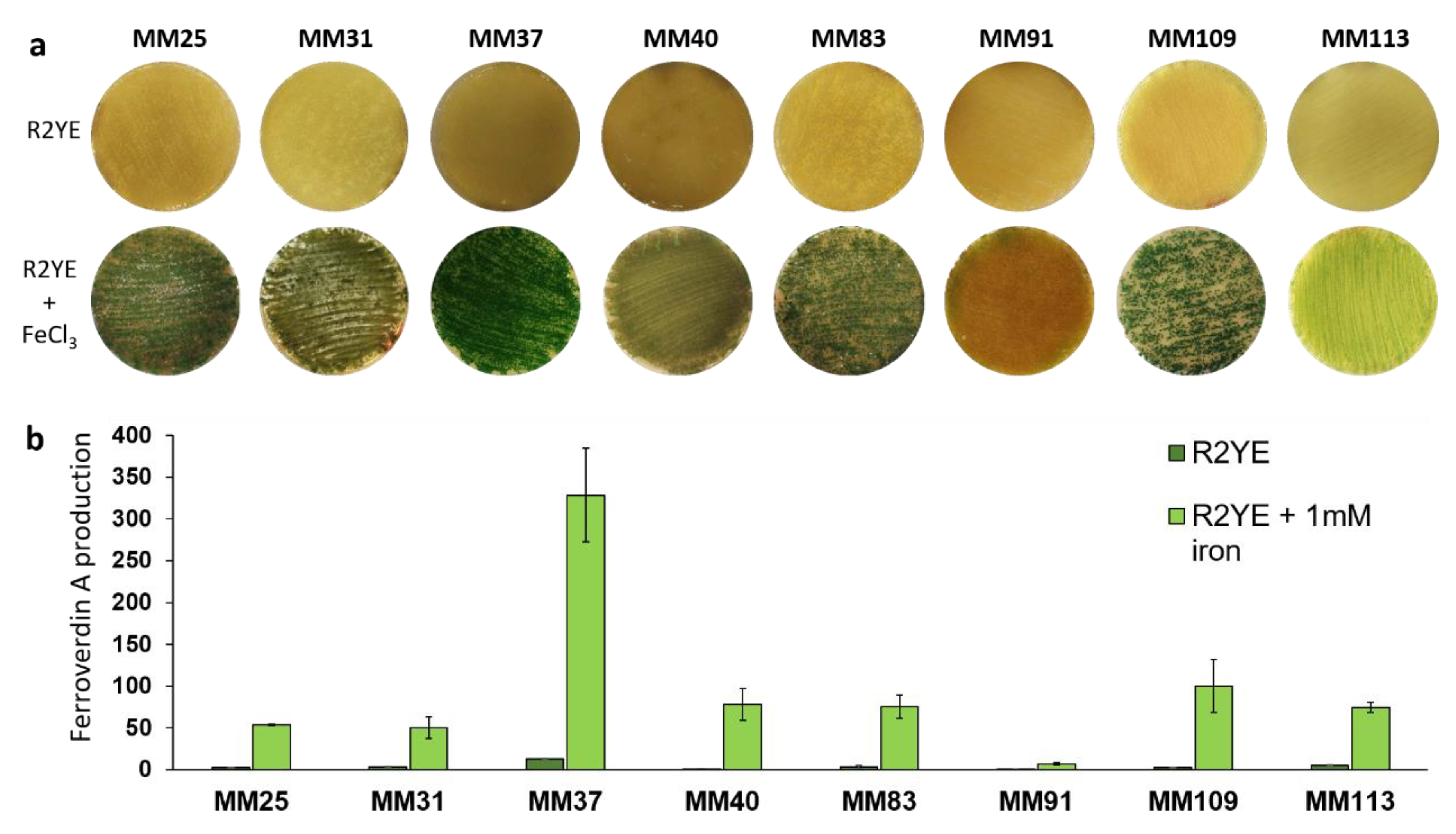 Biomolecules 10 01027 g008
