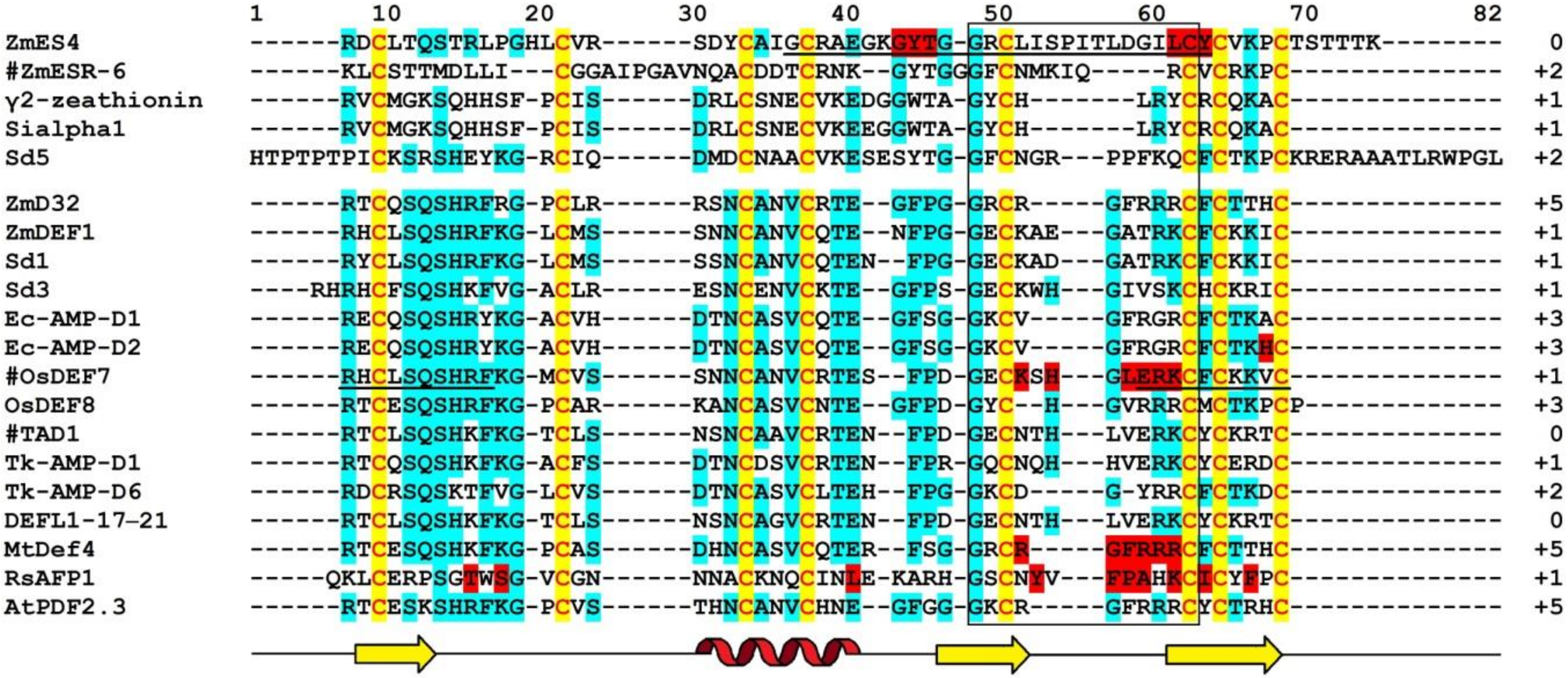 Biomolecules 10 01029 g005 Biomolecules 10 01029 g005