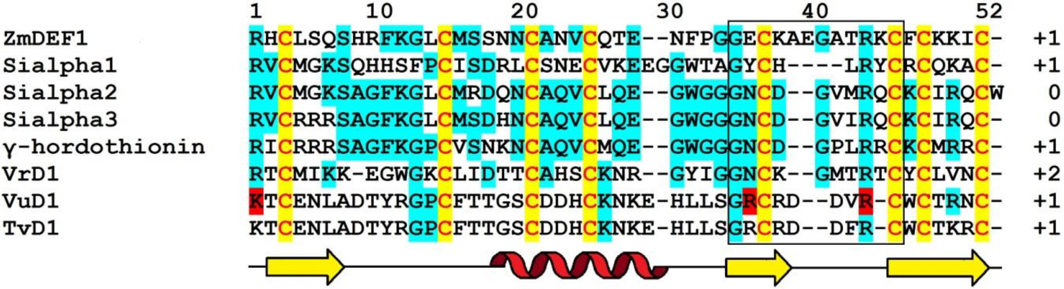Biomolecules 10 01029 g007 Biomolecules 10 01029 g007