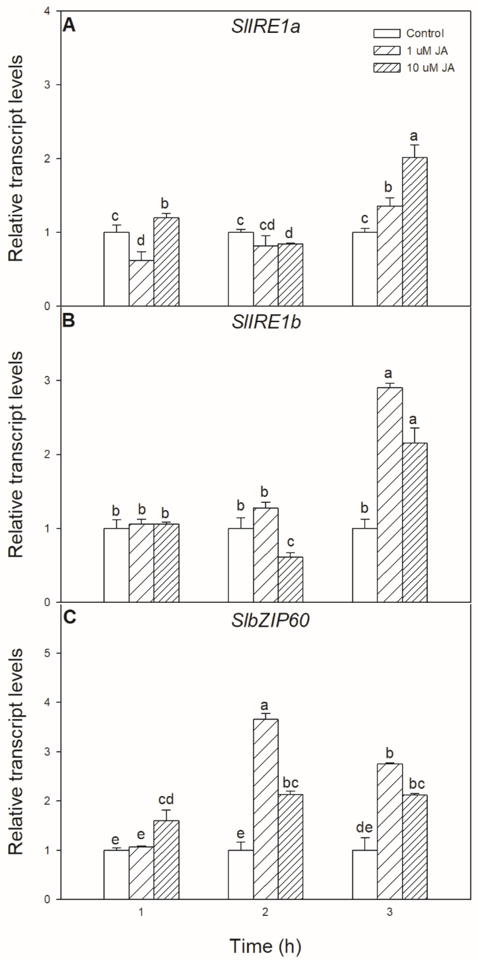 Biomolecules 10 01031 g002 Biomolecules 10 01031 g002