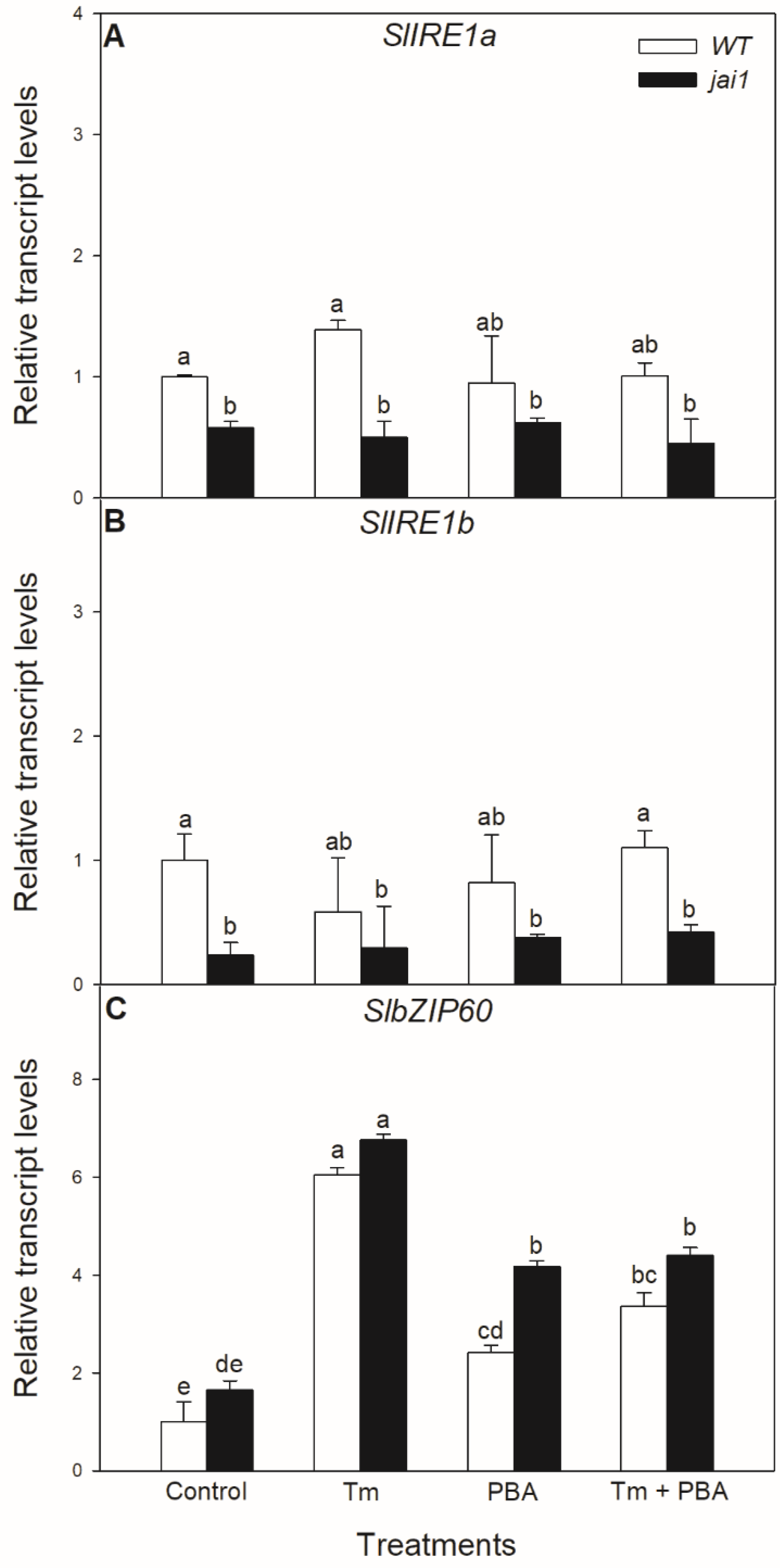 Biomolecules 10 01031 g005 Biomolecules 10 01031 g005