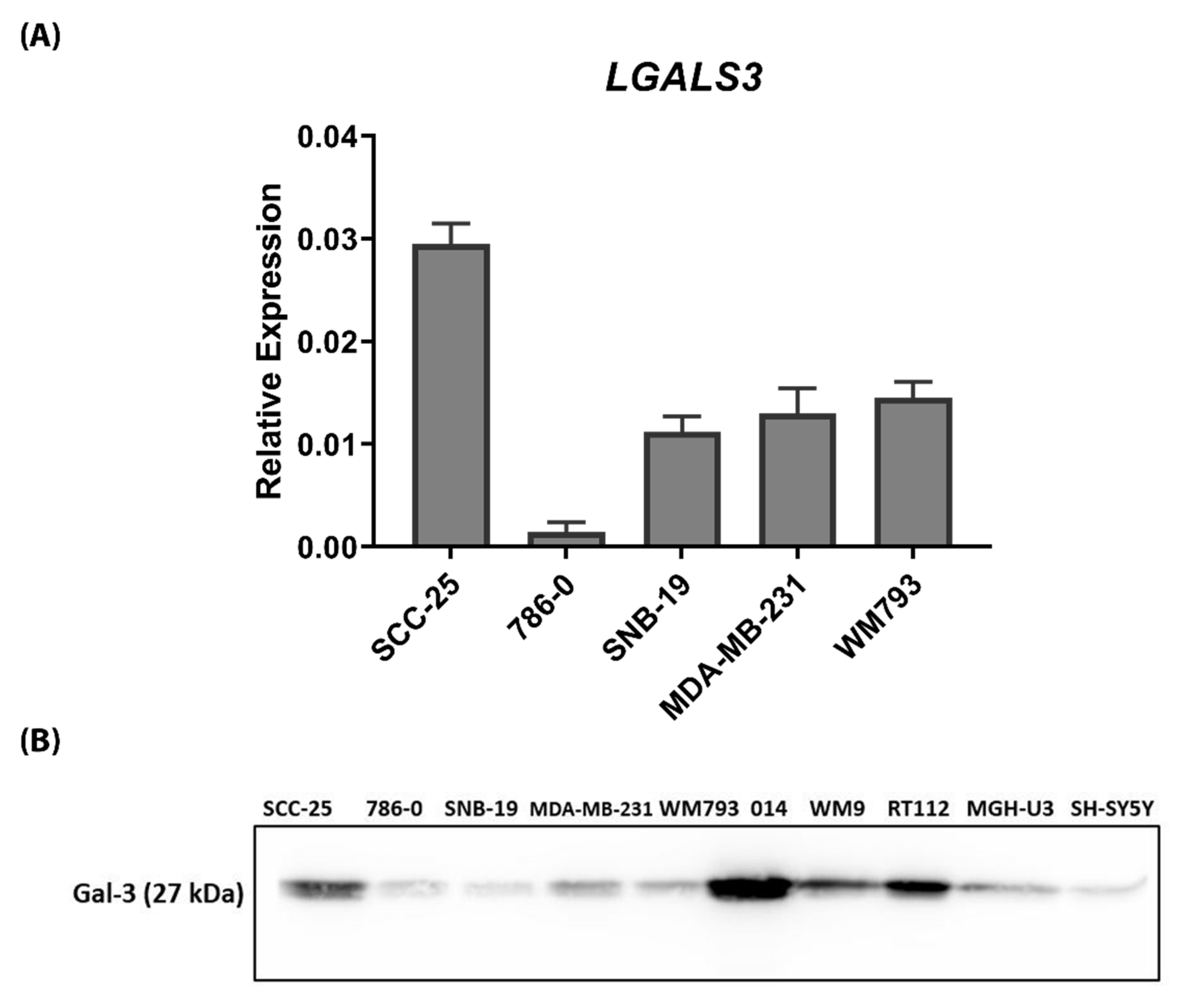 Biomolecules 10 01035 g001