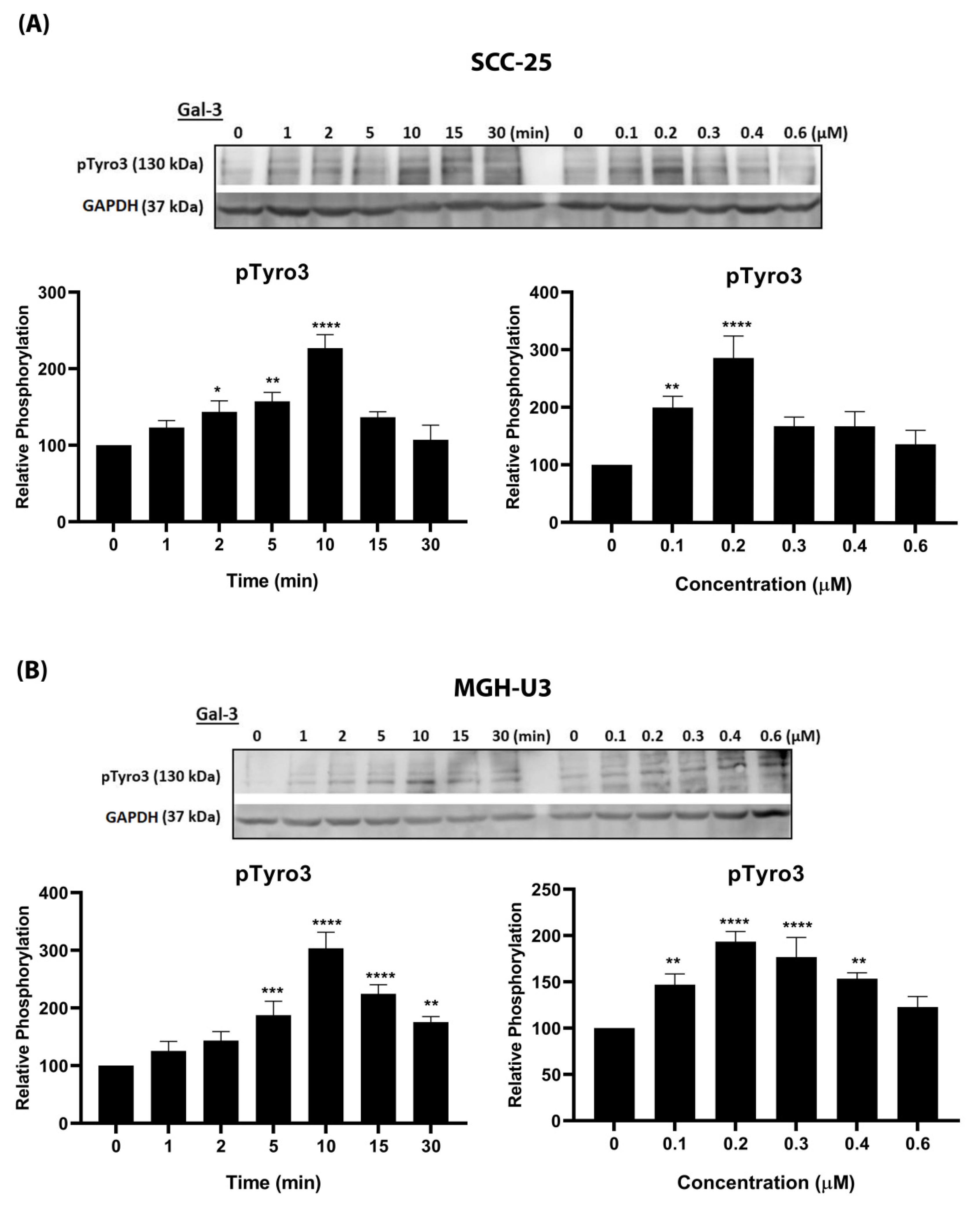 Biomolecules 10 01035 g002