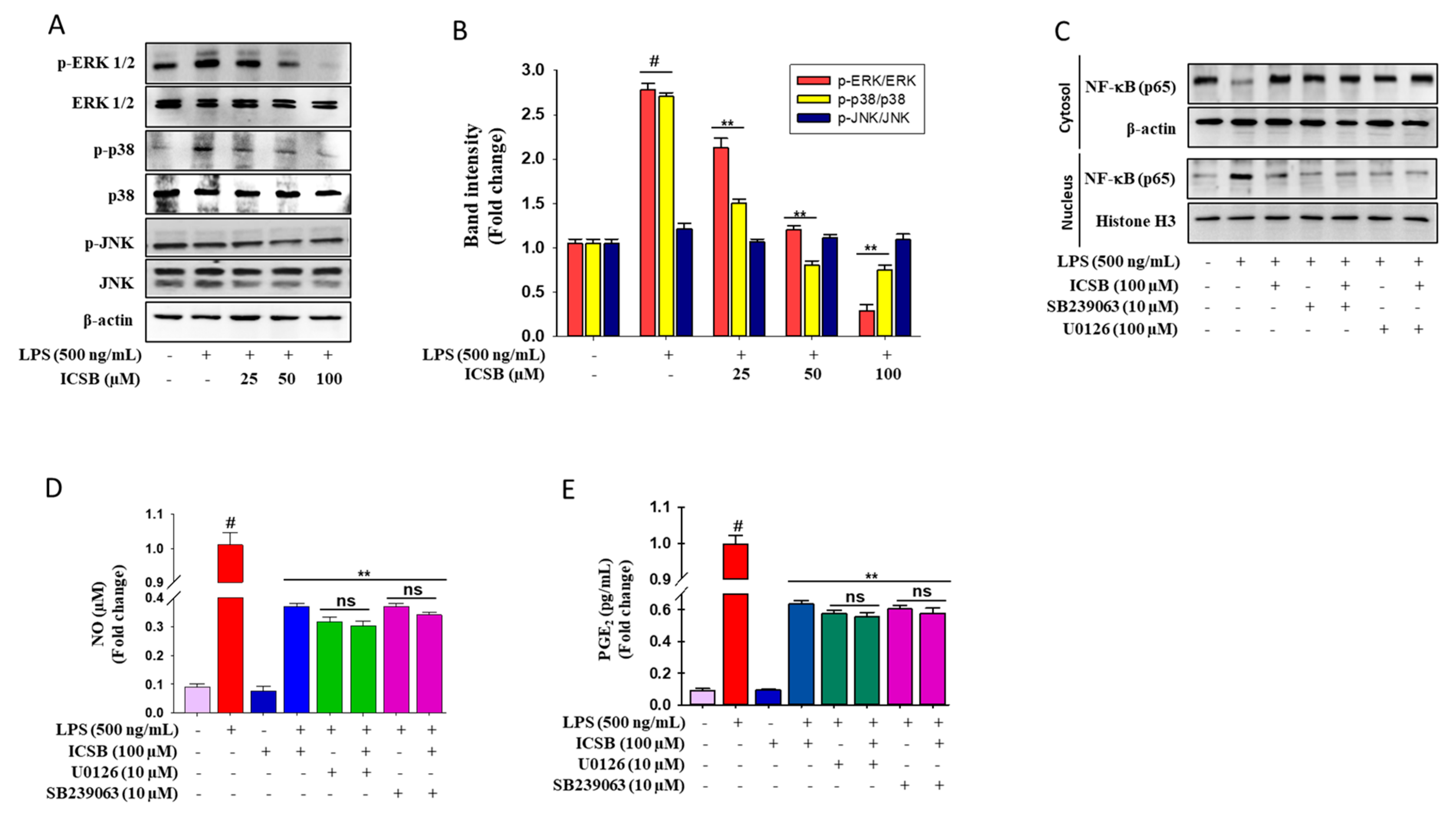 Biomolecules 10 01037 g004