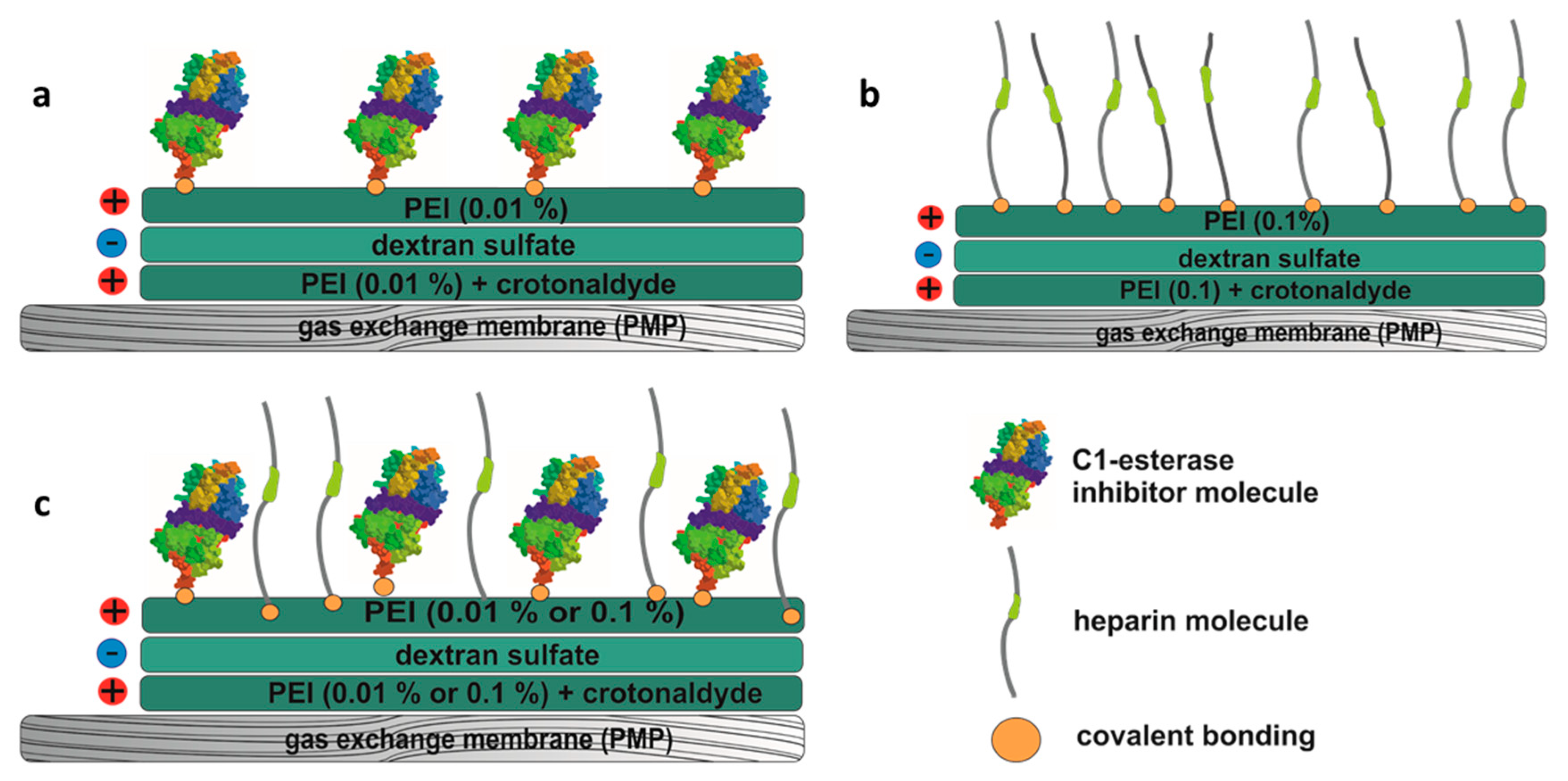 Biomolecules 10 01042 g002 Biomolecules 10 01042 g002