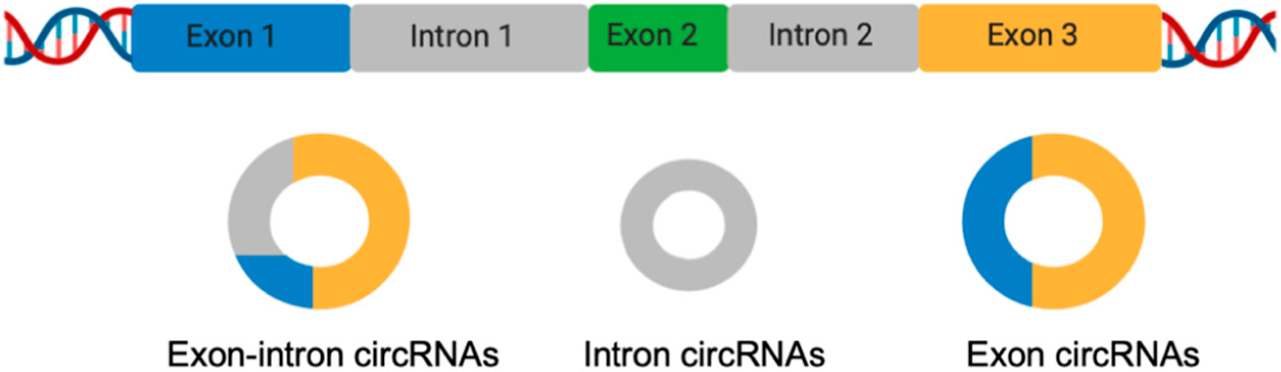 Biomolecules 10 01044 g002 Biomolecules 10 01044 g002