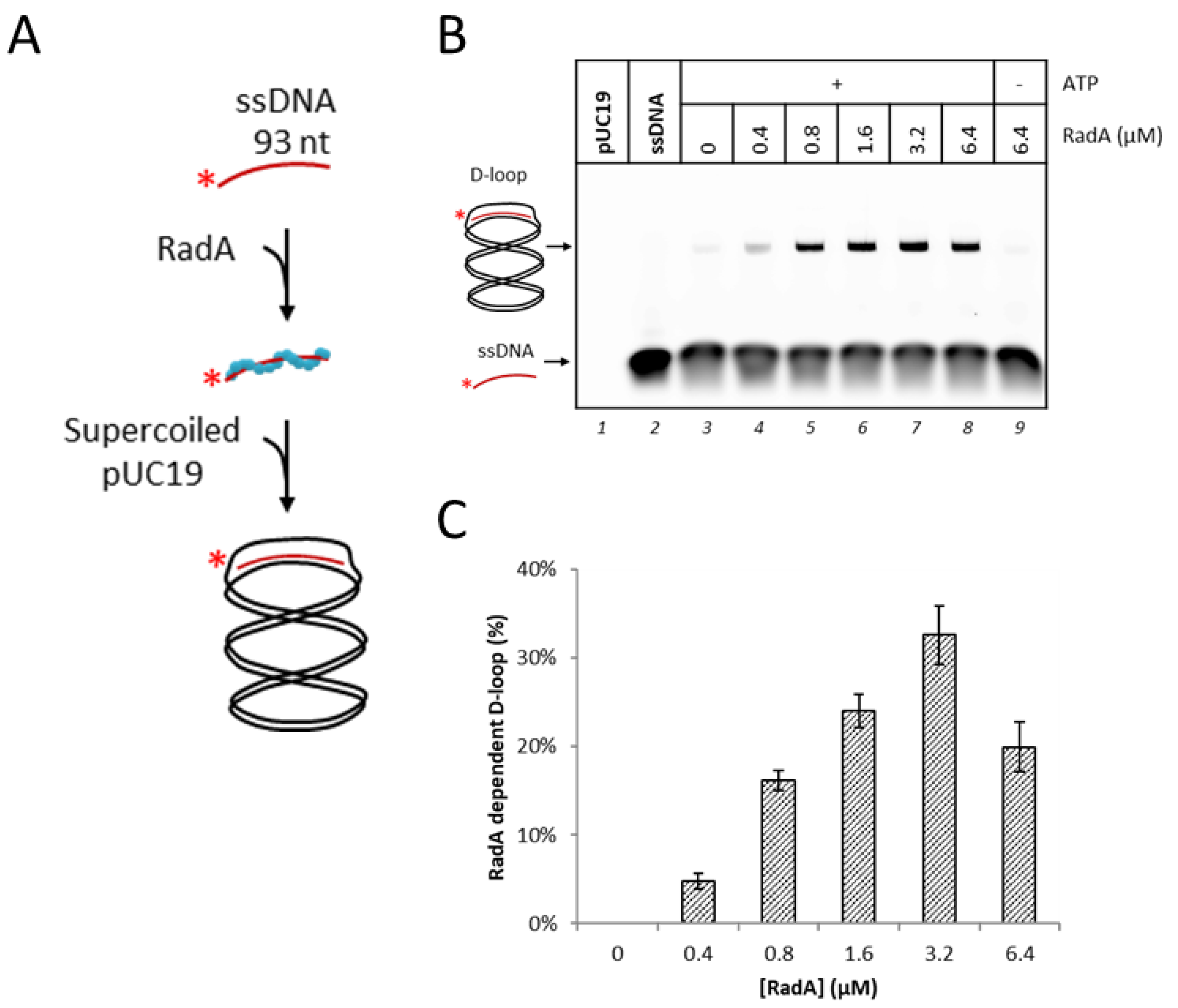 Biomolecules 10 01045 g001