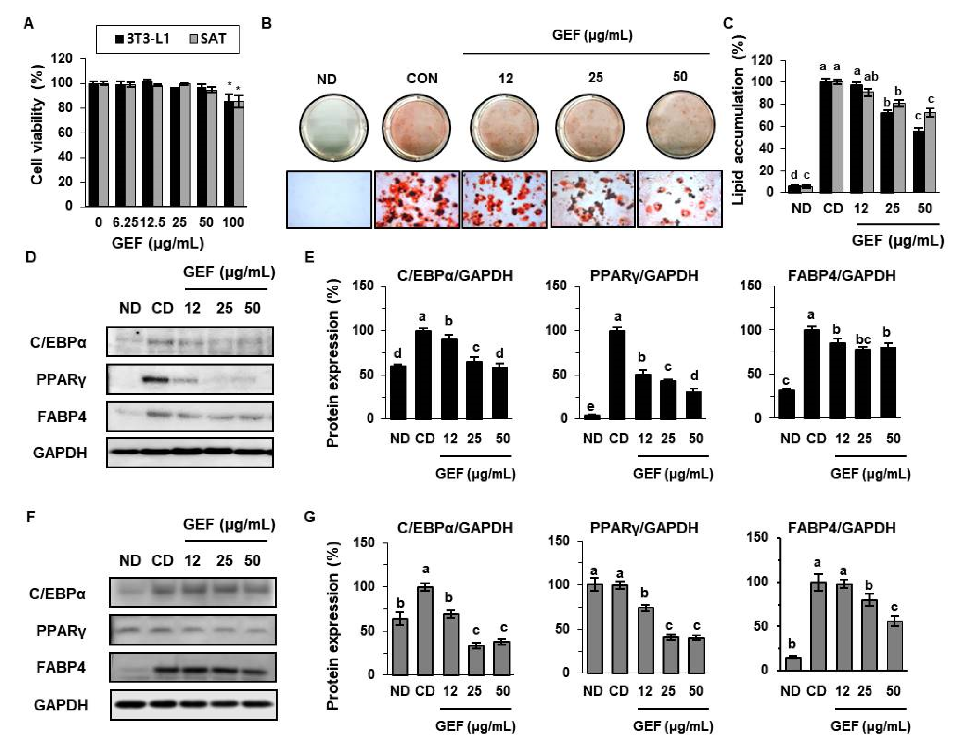 Biomolecules 10 01048 g001