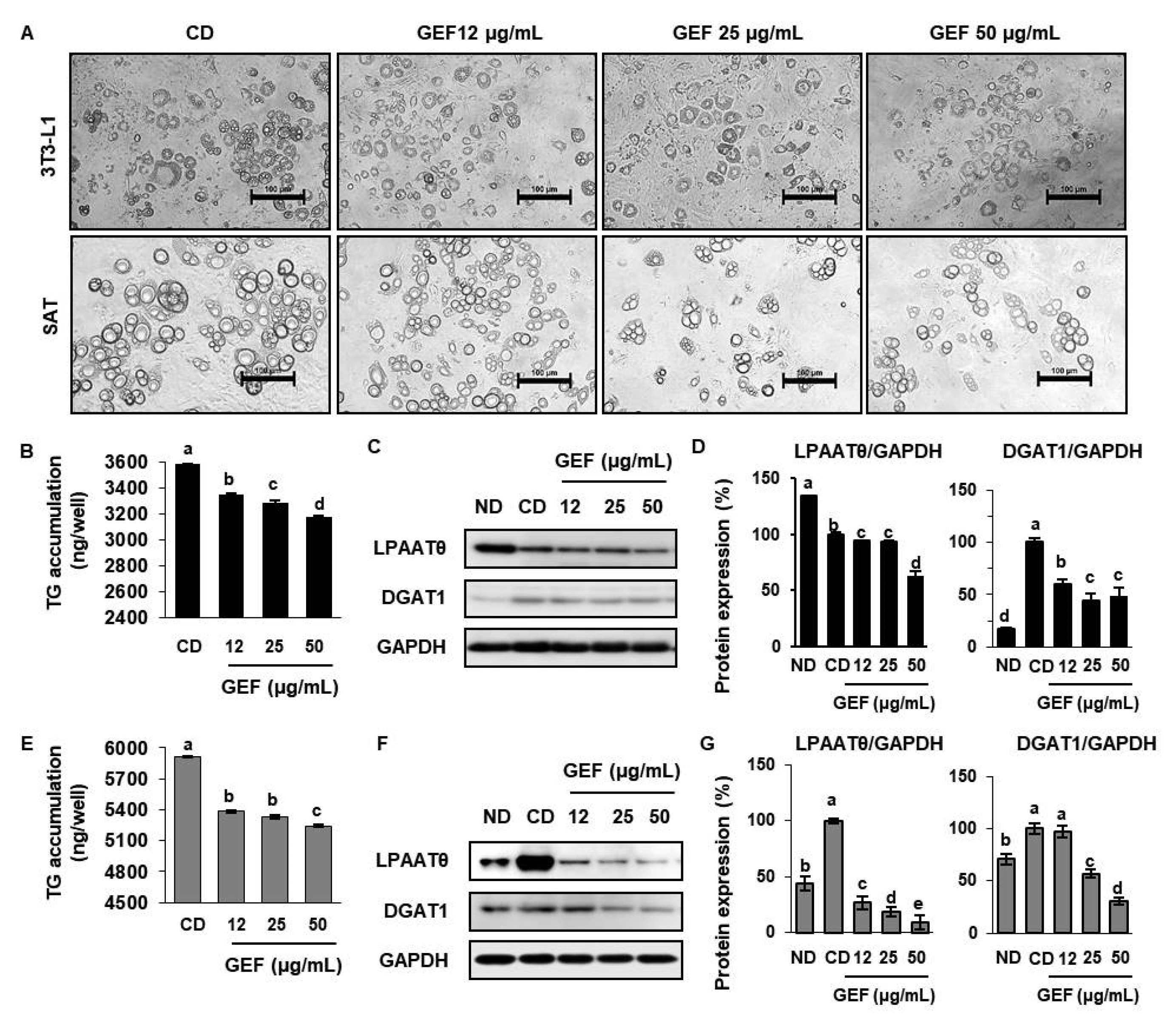Biomolecules 10 01048 g002