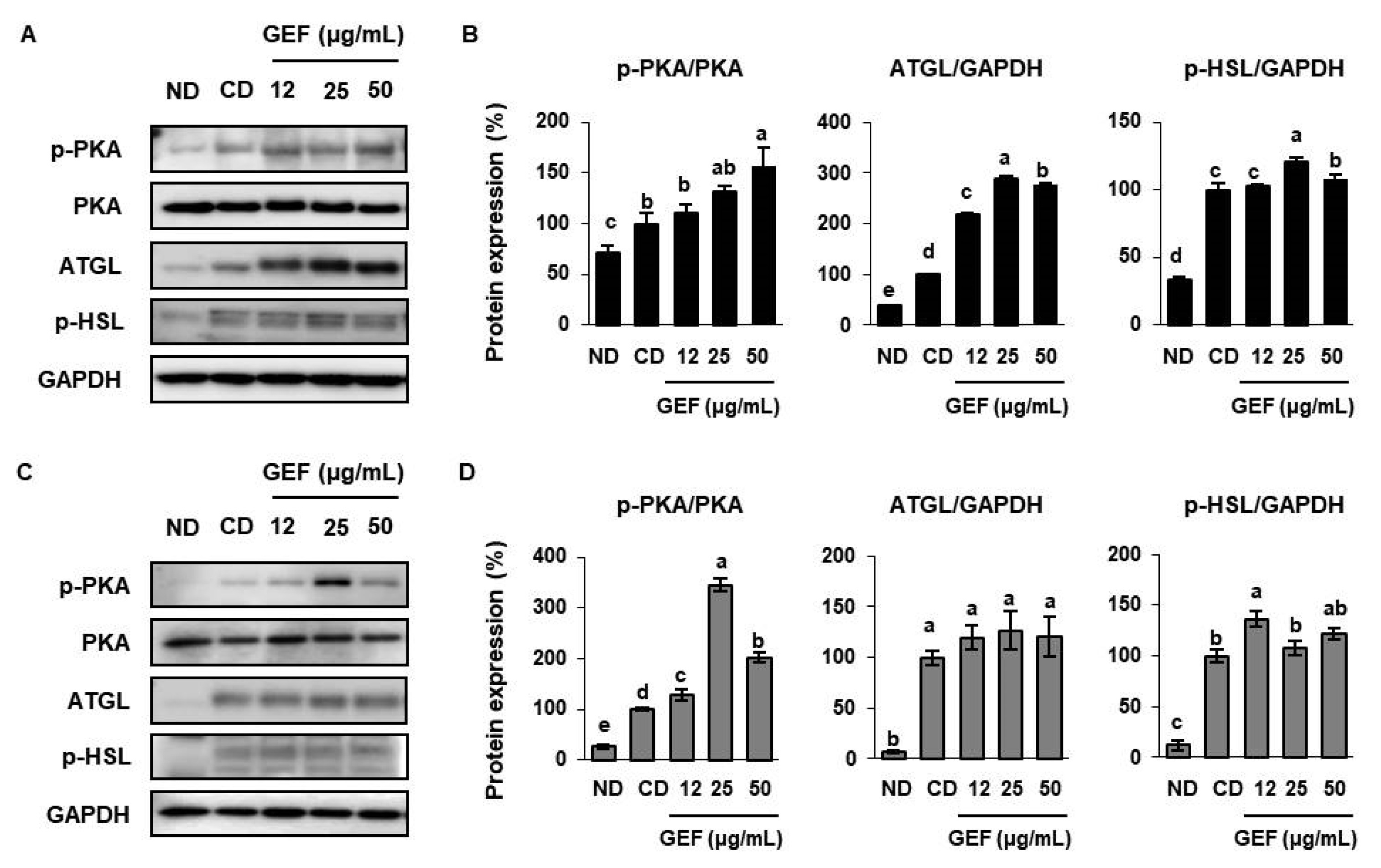 Biomolecules 10 01048 g003