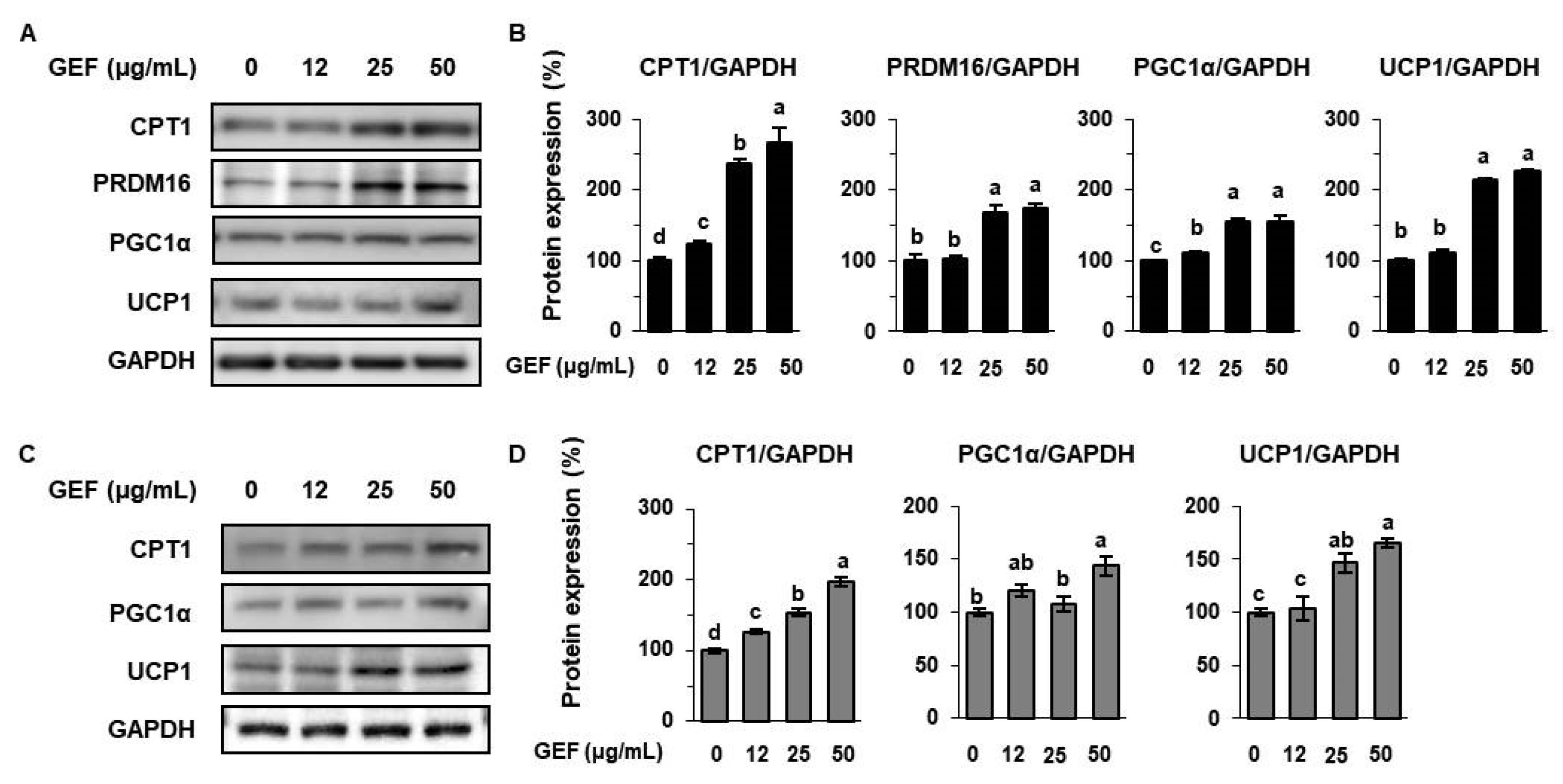 Biomolecules 10 01048 g004