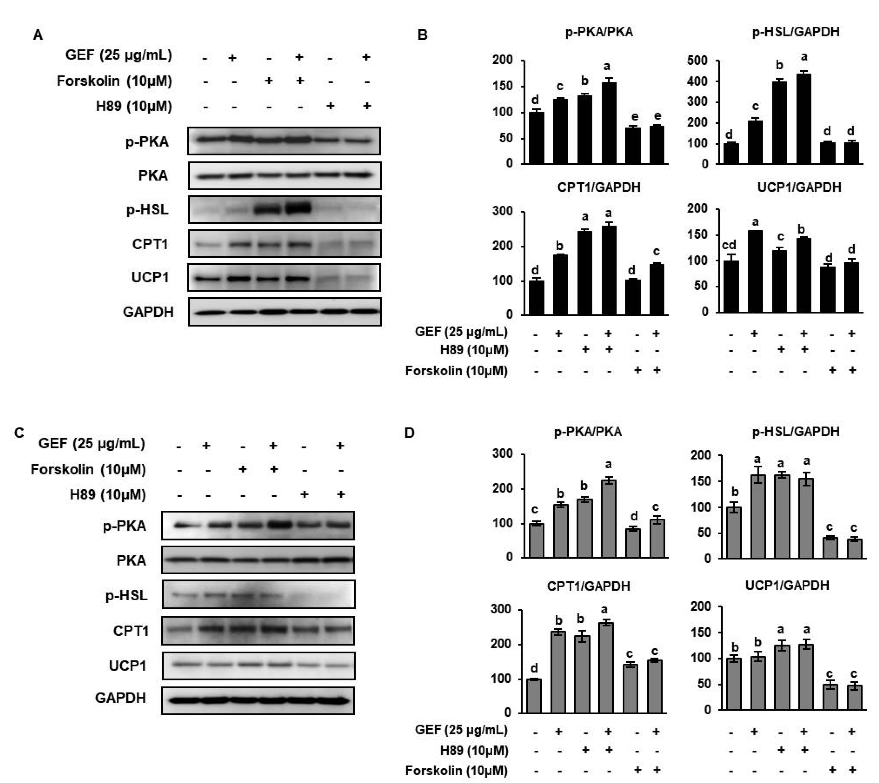 Biomolecules 10 01048 g006