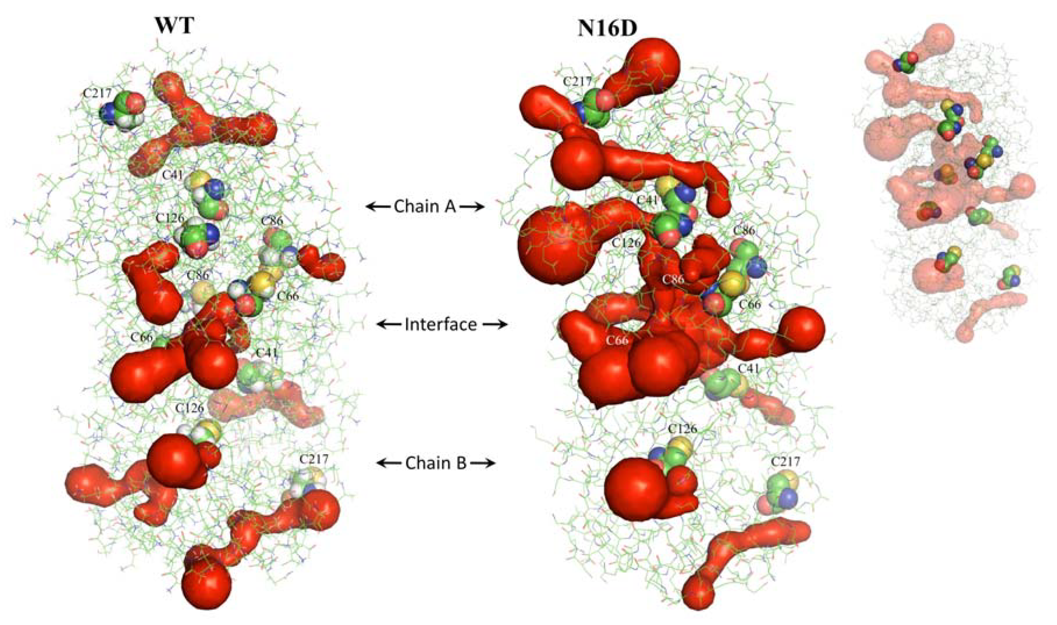 Biomolecules 10 01050 g002