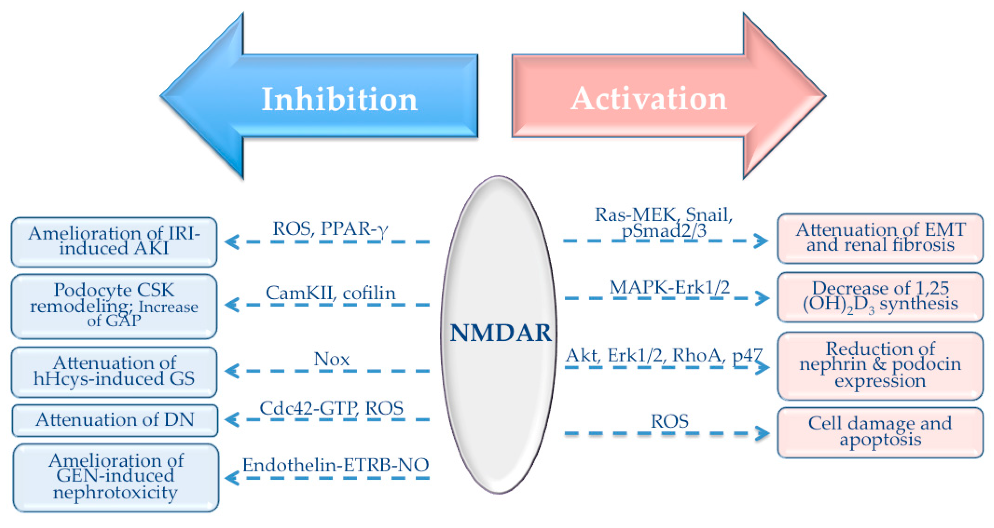 Biomolecules 10 01051 g003