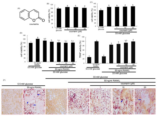 Biomolecules Free Full Text Coumarin Ameliorates Impaired Bone Turnover By Inhibiting The Formation Of Advanced Glycation End Products In Diabetic Osteoblasts And Osteoclasts Html Biomolecules Free Full Text Coumarin Ameliorates Impaired Bone Turnover By Inhibiting The Formation Of Advanced Glycation End Products In Diabetic Osteoblasts And Osteoclasts Html