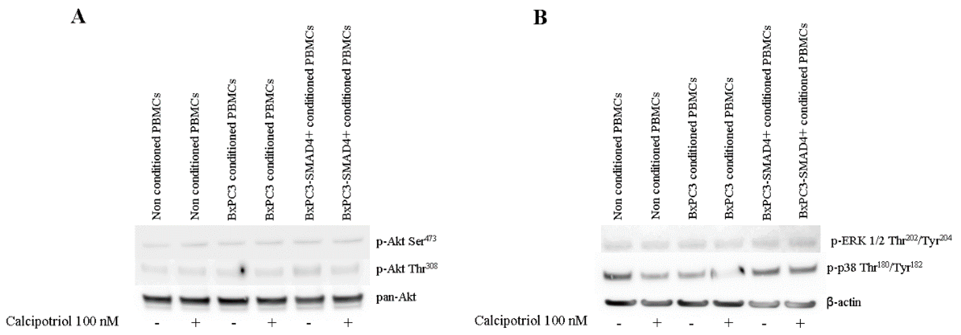 Biomolecules 10 01055 g004 Biomolecules 10 01055 g004