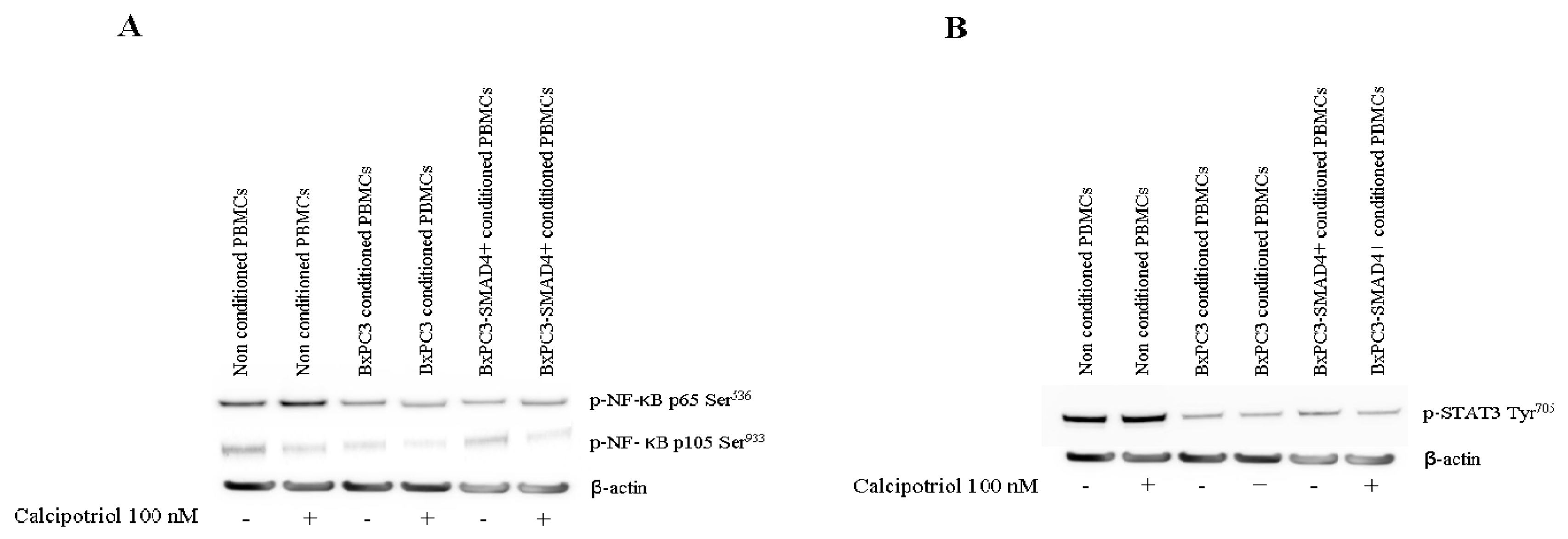 Biomolecules 10 01055 g005 Biomolecules 10 01055 g005