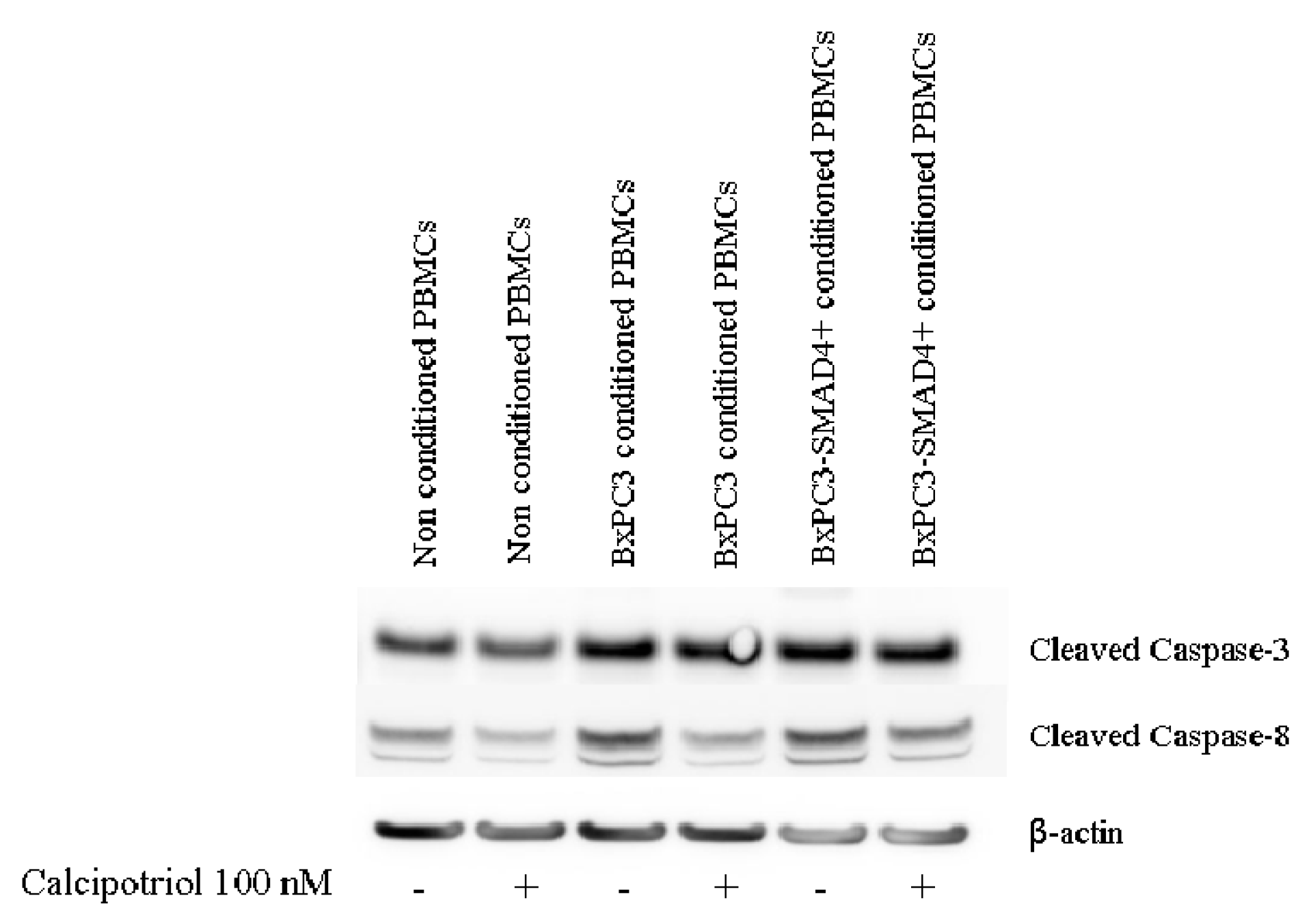 Biomolecules 10 01055 g006 Biomolecules 10 01055 g006