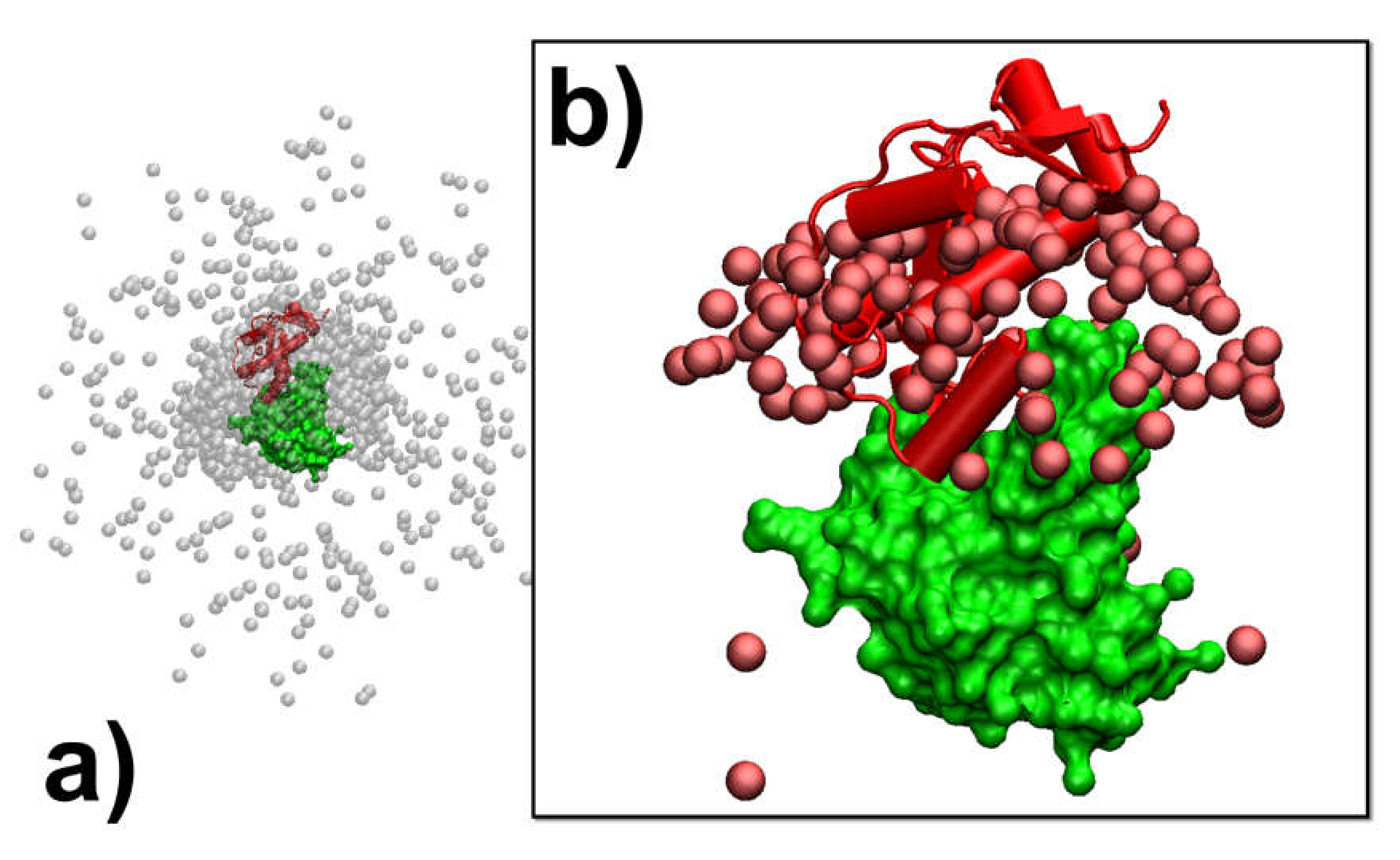 Biomolecules 10 01056 g005