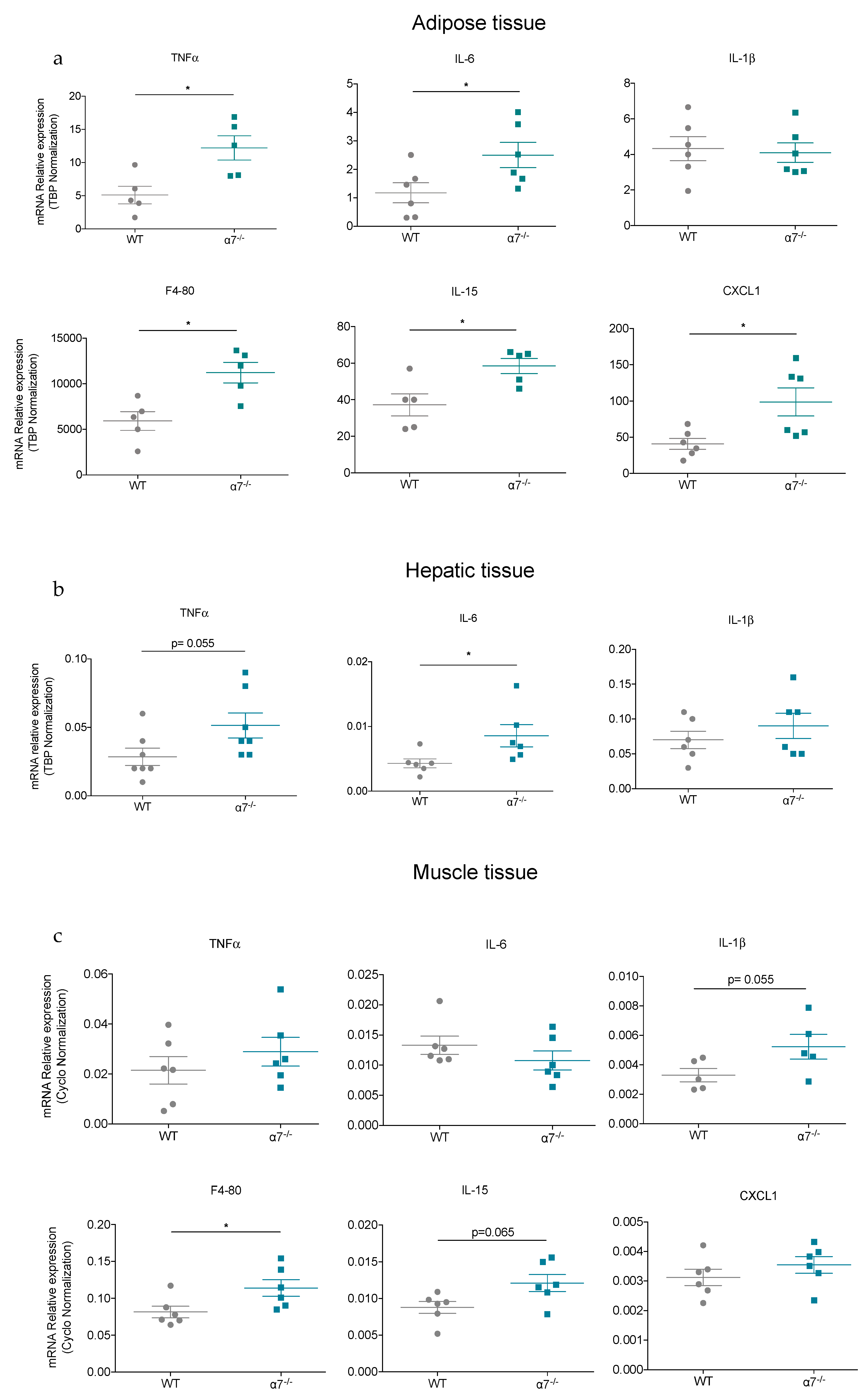 Biomolecules 10 01057 g007 Biomolecules 10 01057 g007