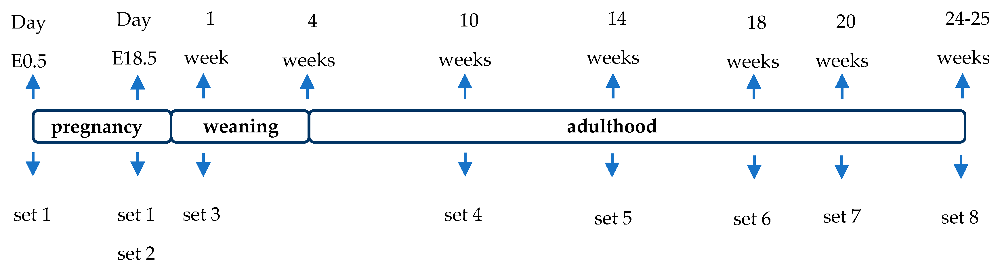 Biomolecules 10 01057 sch001 Biomolecules 10 01057 sch001