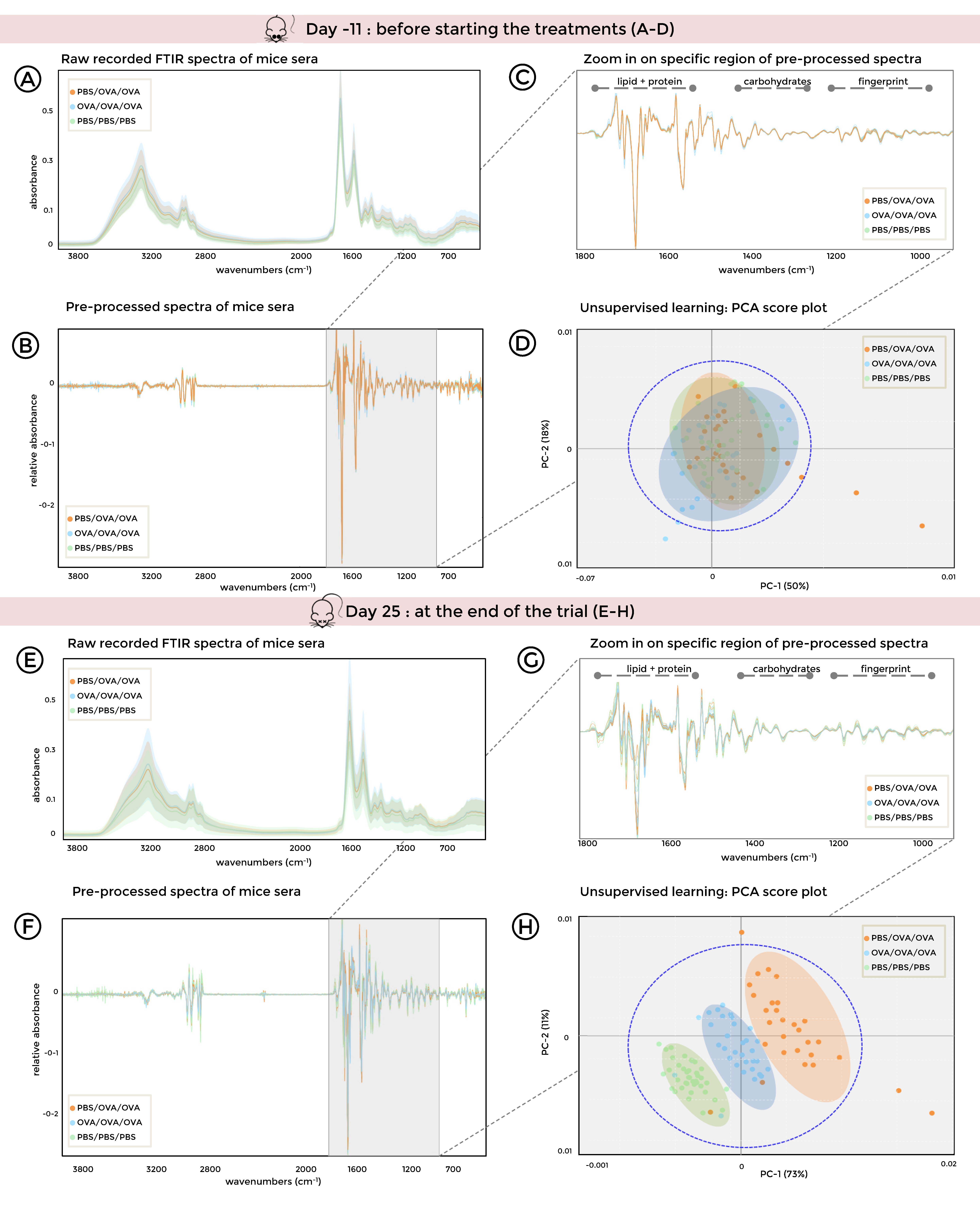 Biomolecules 10 01058 g004