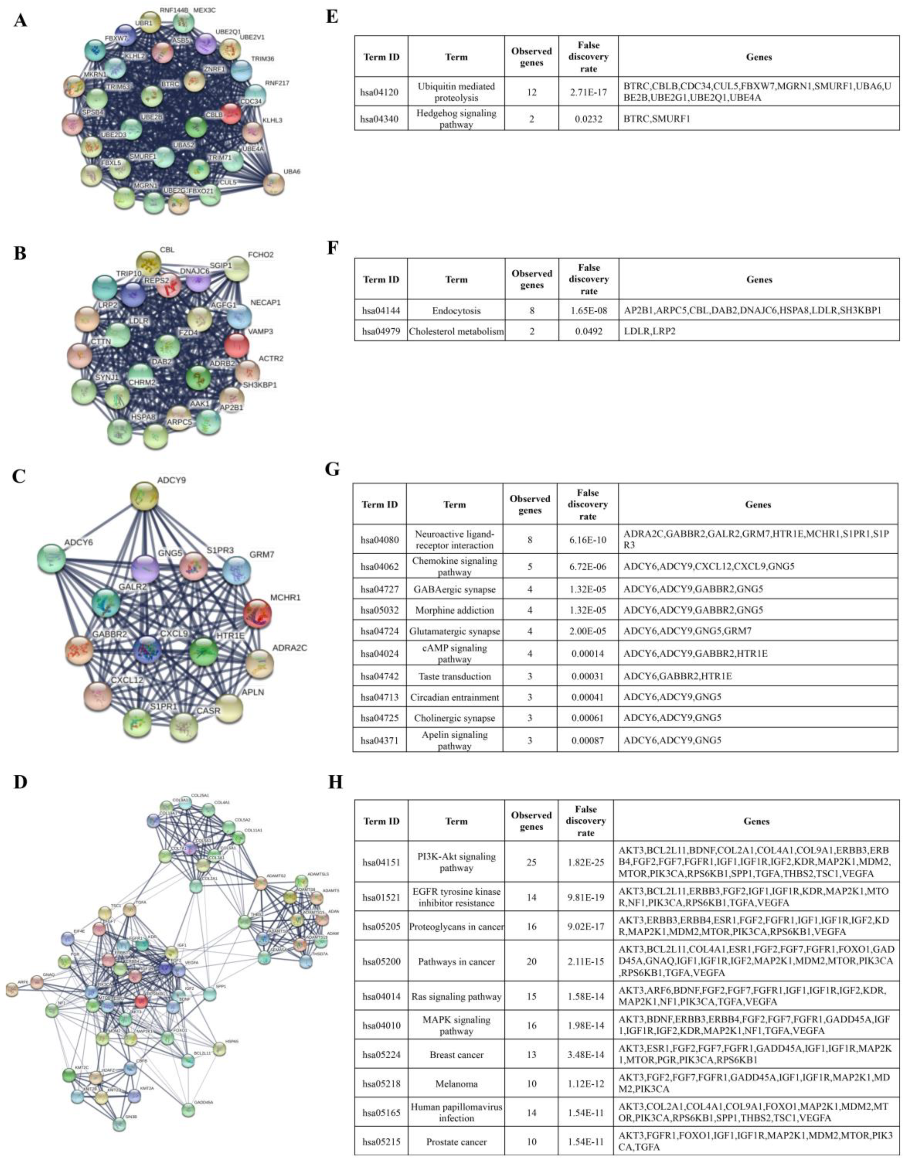 Biomolecules 10 01059 g002 Biomolecules 10 01059 g002