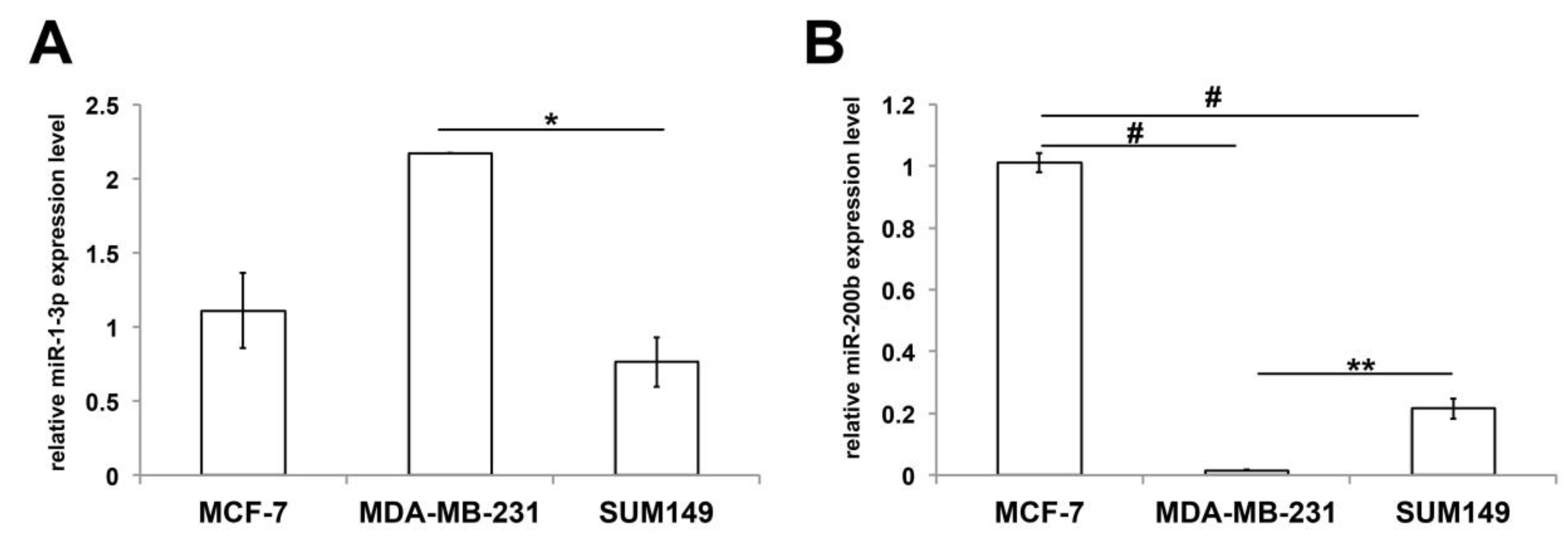 Biomolecules 10 01059 g007 Biomolecules 10 01059 g007