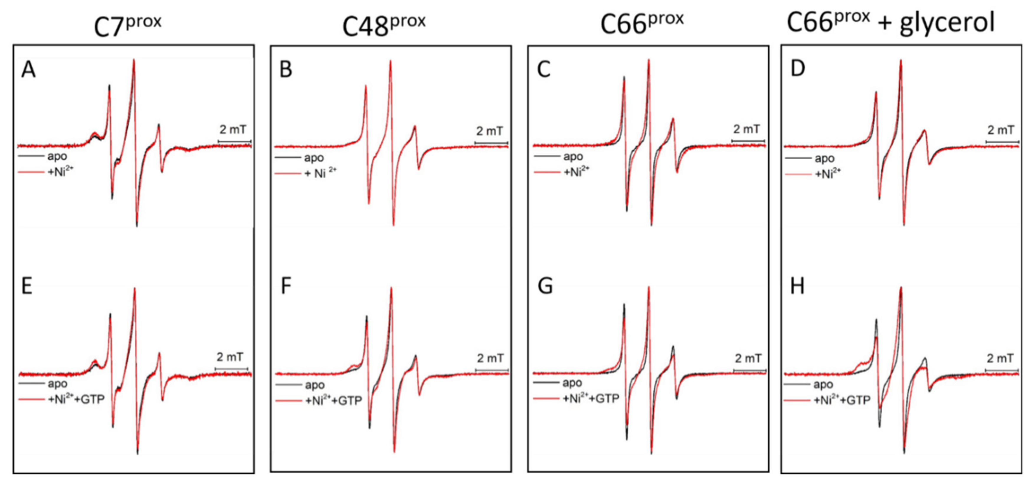 Biomolecules 10 01062 g006 Biomolecules 10 01062 g006