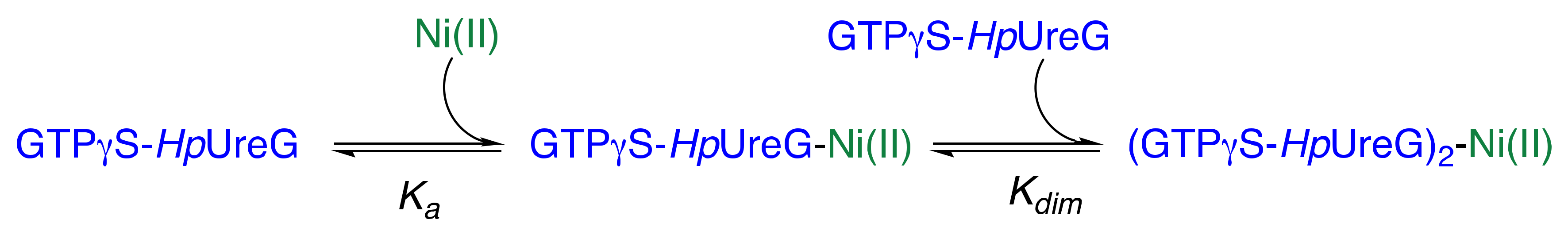 Biomolecules 10 01062 sch001 Biomolecules 10 01062 sch001