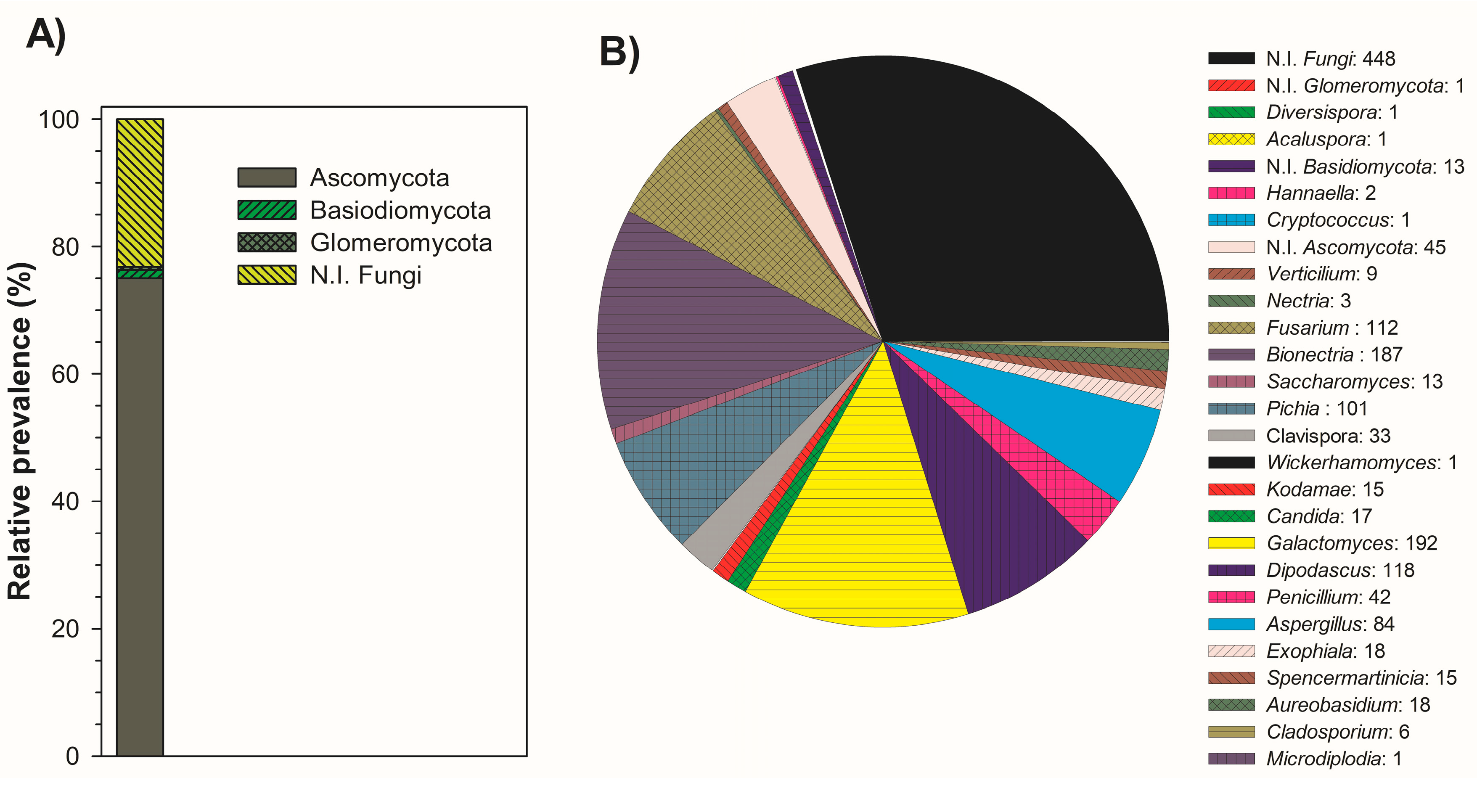 Biomolecules 10 01063 g002 Biomolecules 10 01063 g002