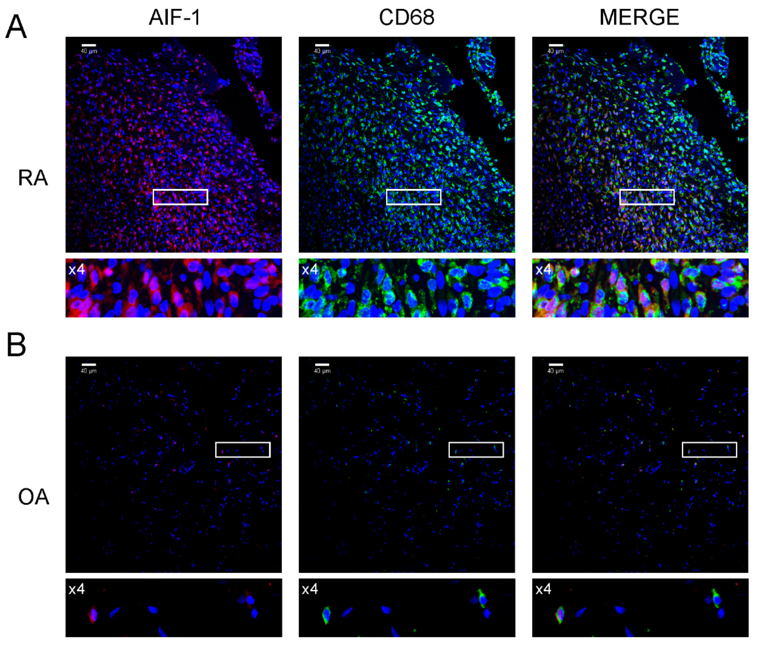 Biomolecules 10 01064 g002