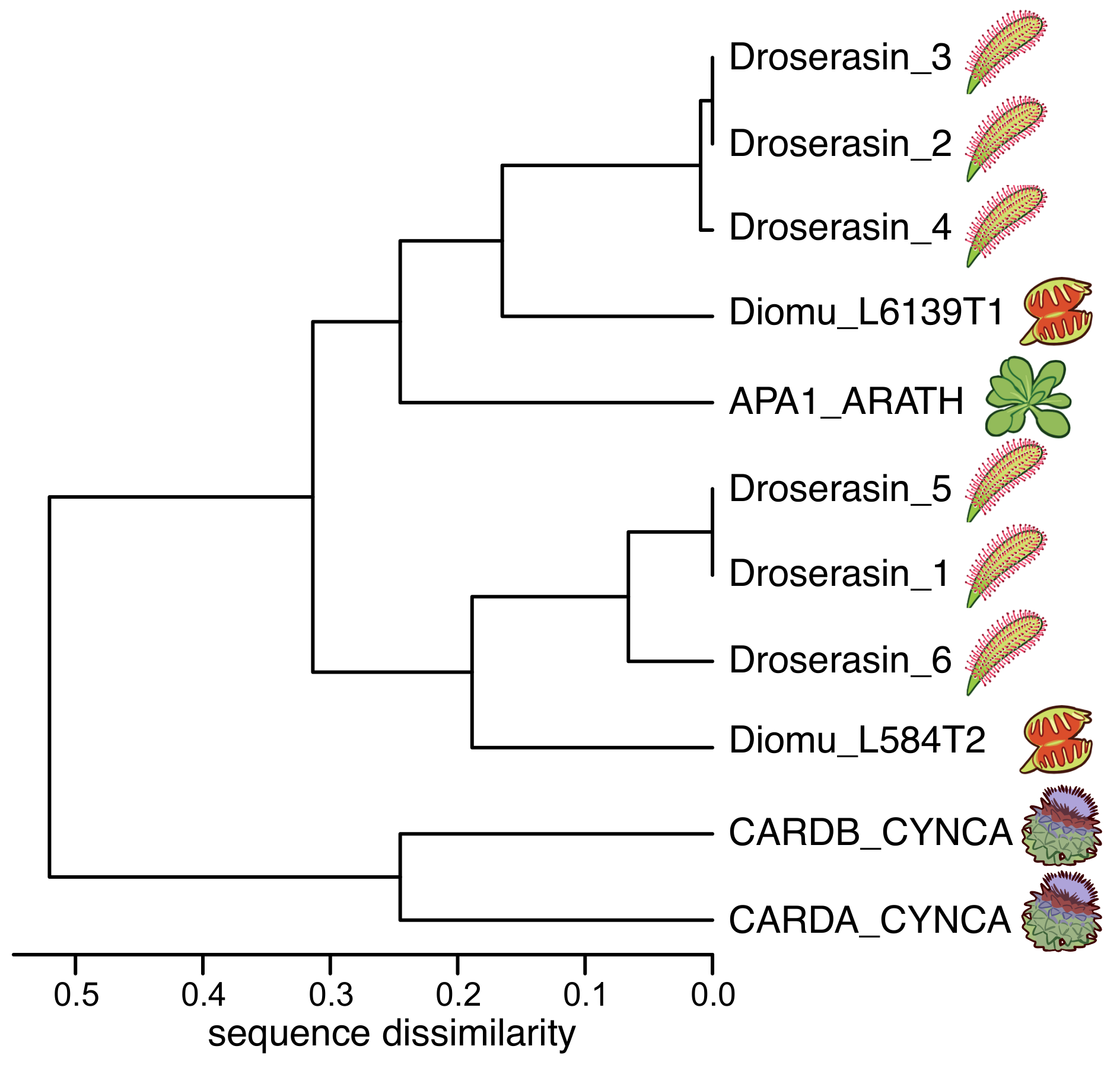 Biomolecules 10 01069 g001 Biomolecules 10 01069 g001