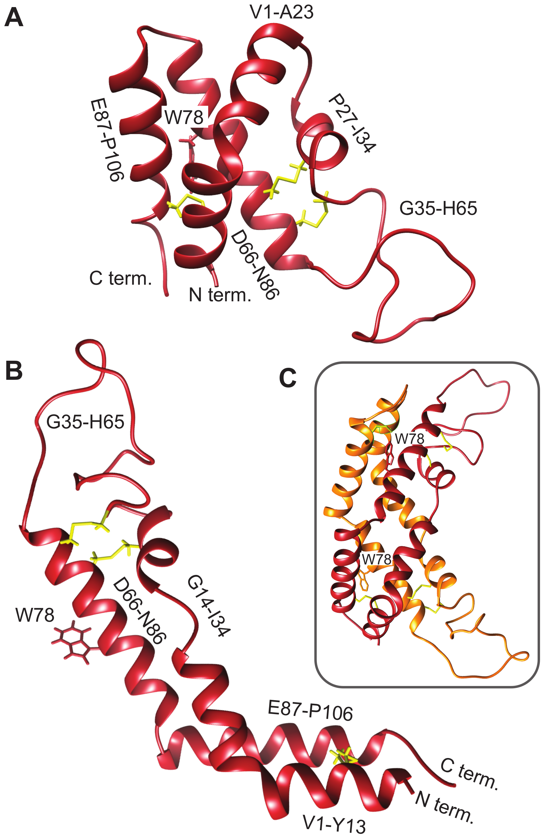 Biomolecules 10 01069 g002 Biomolecules 10 01069 g002