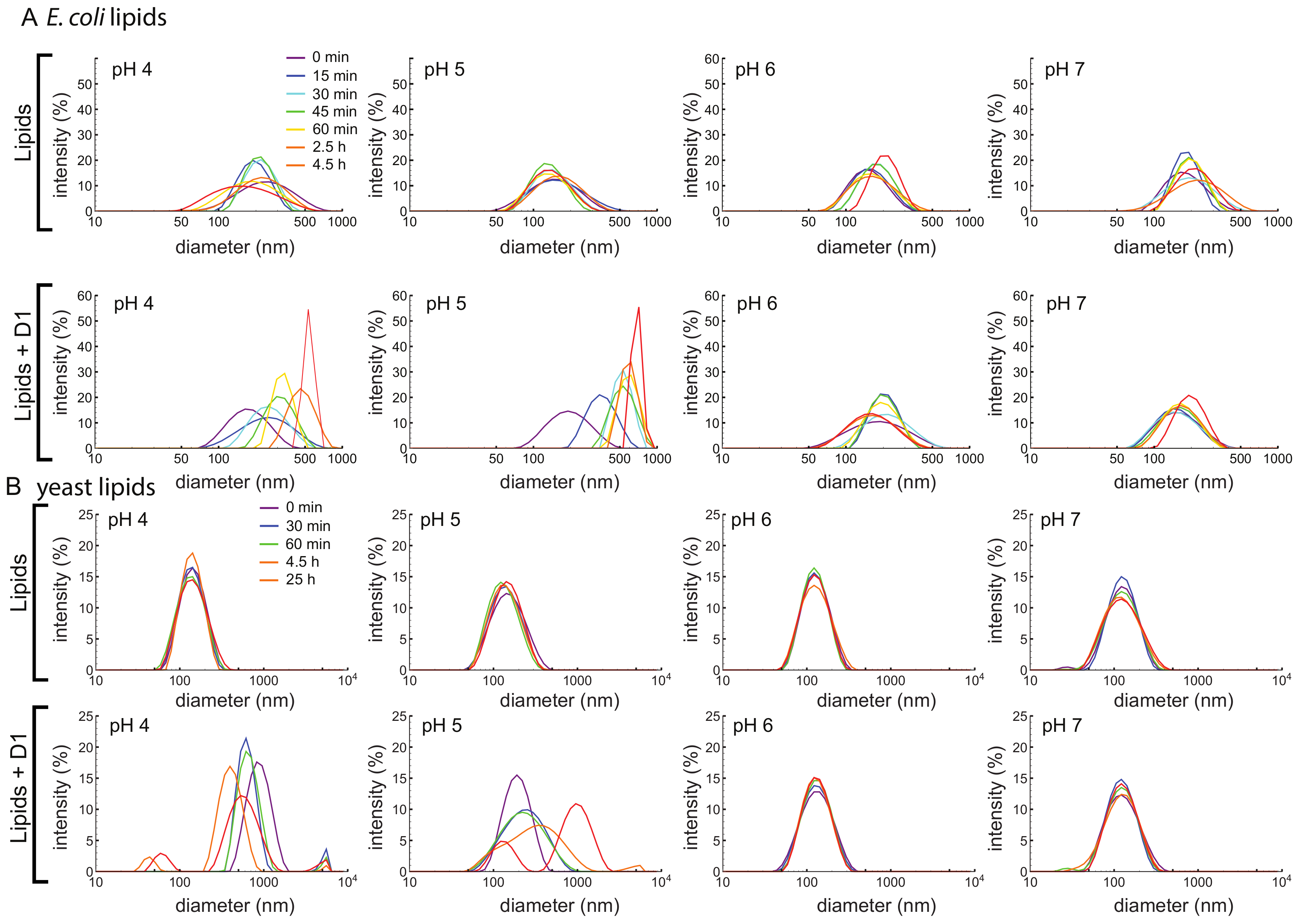 Biomolecules 10 01069 g004 Biomolecules 10 01069 g004