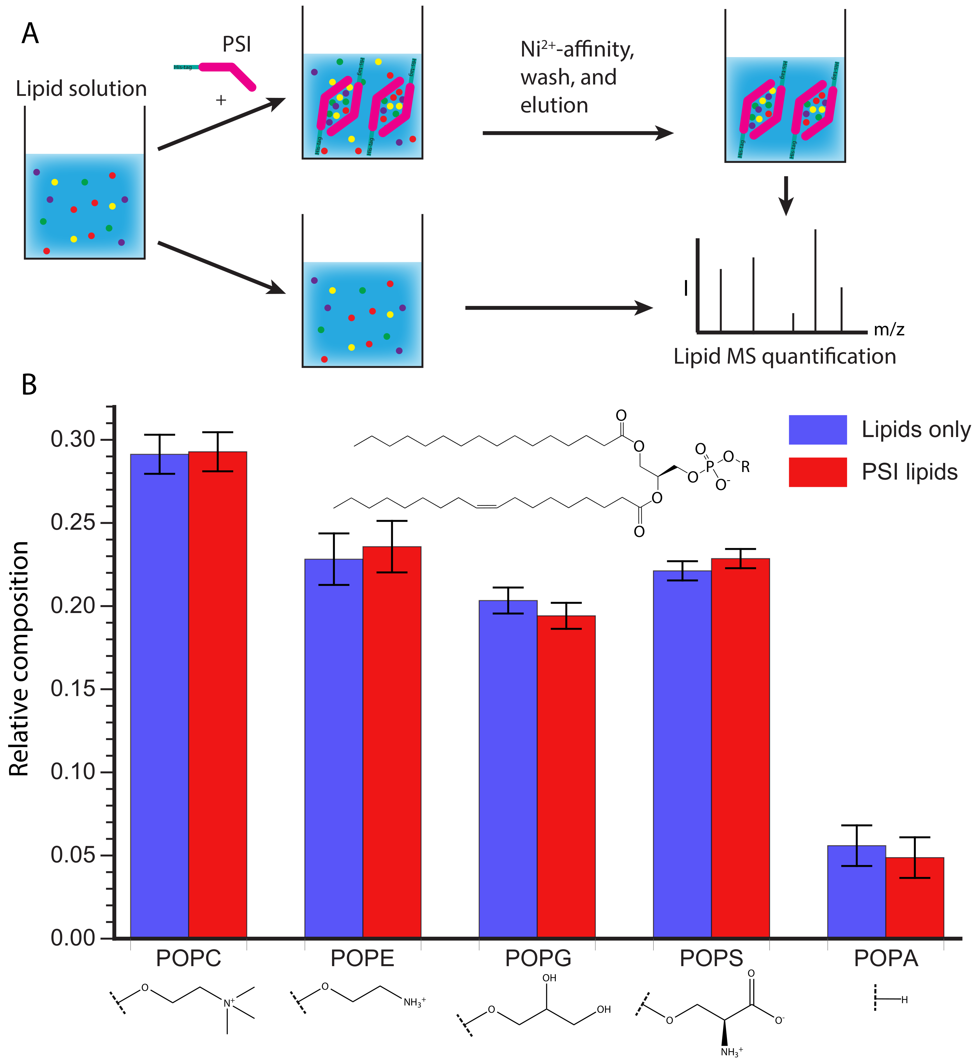 Biomolecules 10 01069 g005 Biomolecules 10 01069 g005