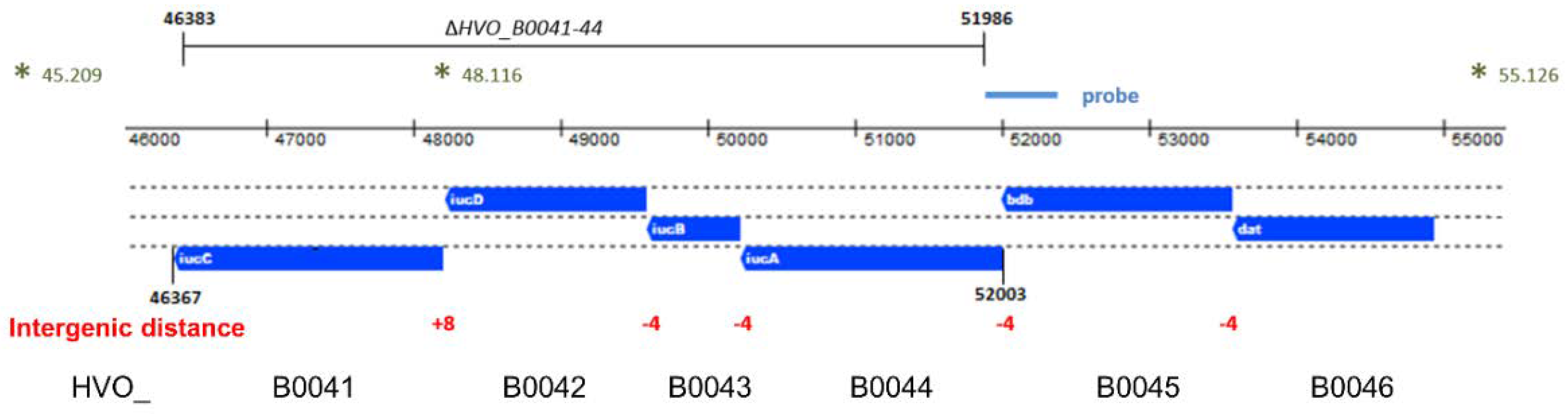 Biomolecules 10 01072 g001 Biomolecules 10 01072 g001