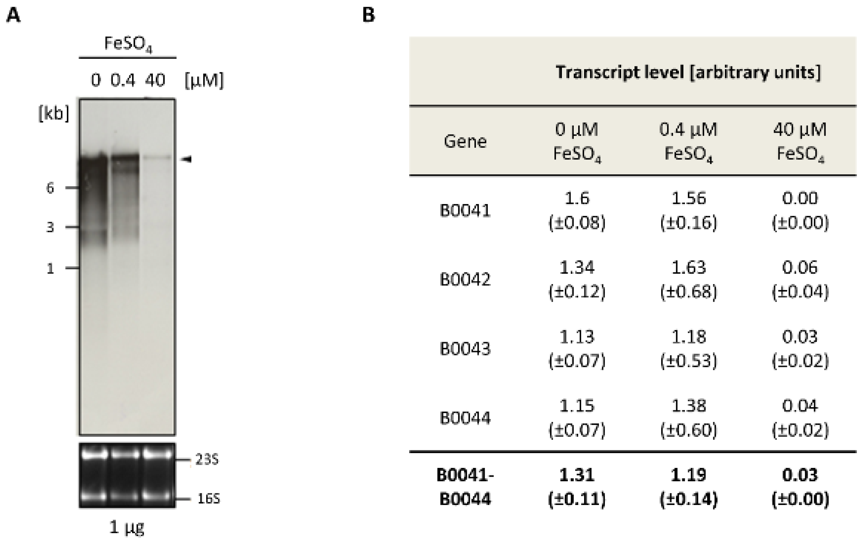 Biomolecules 10 01072 g002 Biomolecules 10 01072 g002