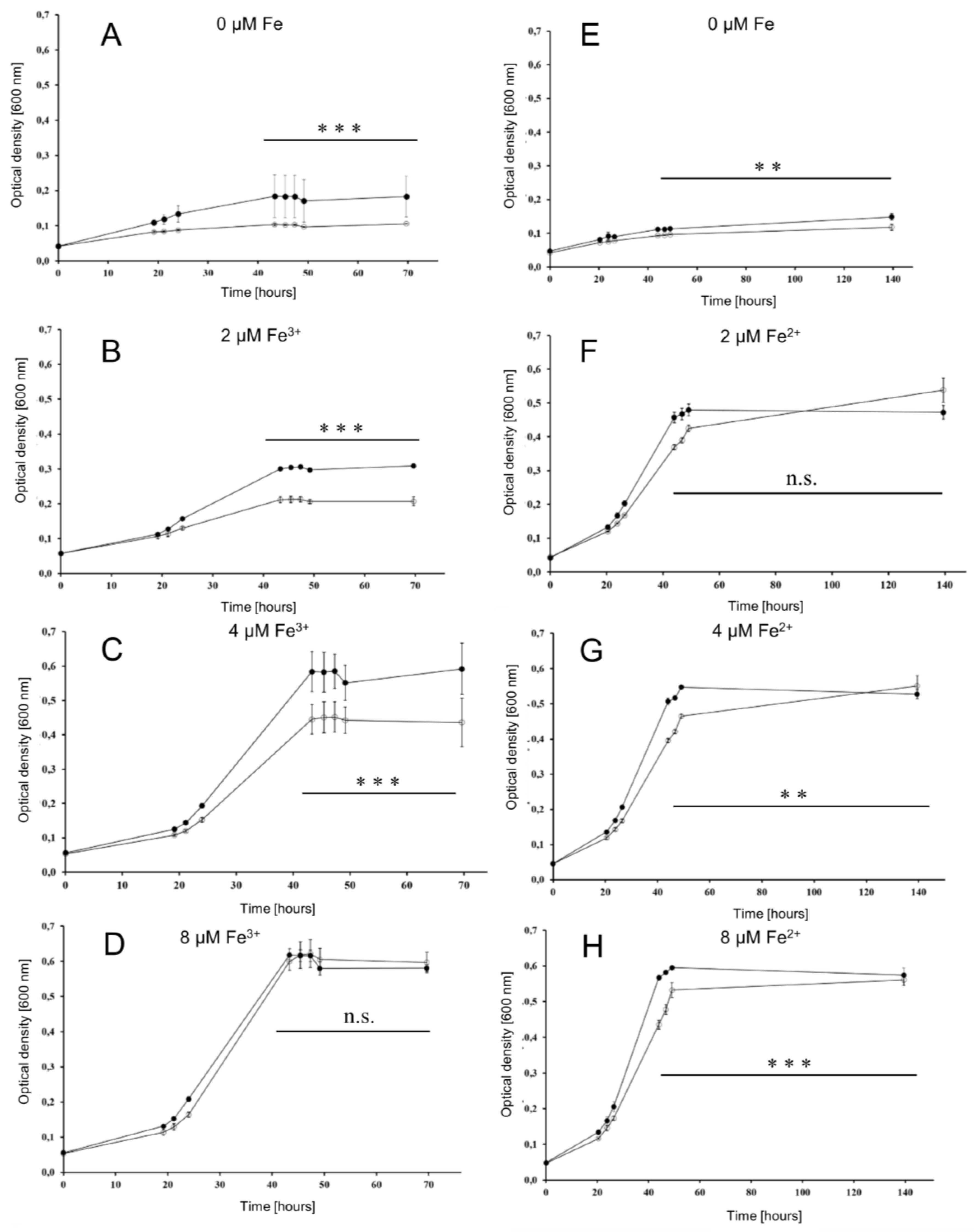 Biomolecules 10 01072 g004 Biomolecules 10 01072 g004