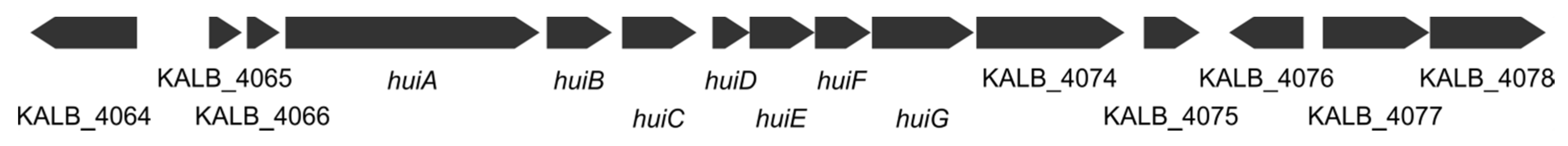 Biomolecules 10 01074 g003