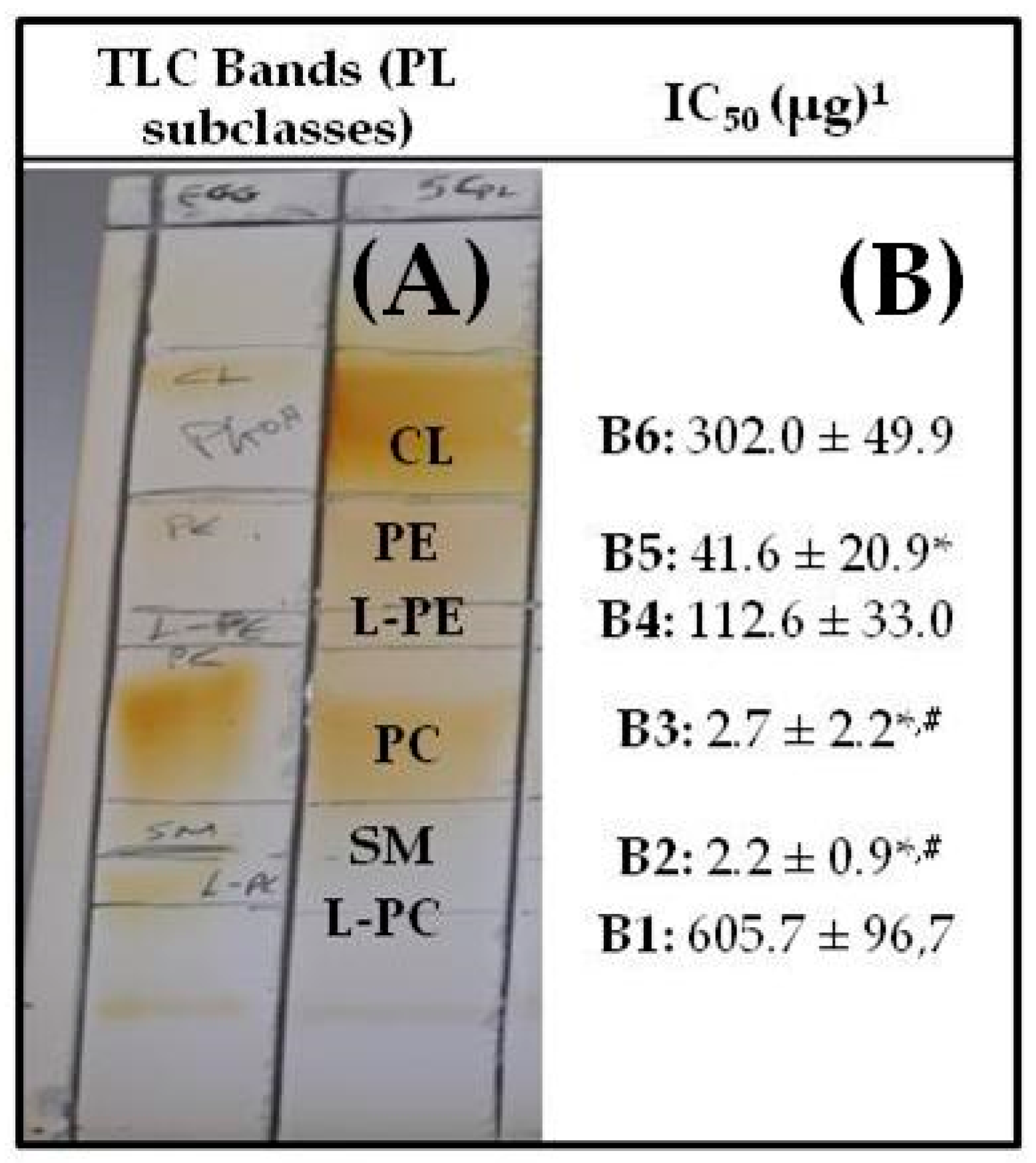 Biomolecules 10 01075 g001