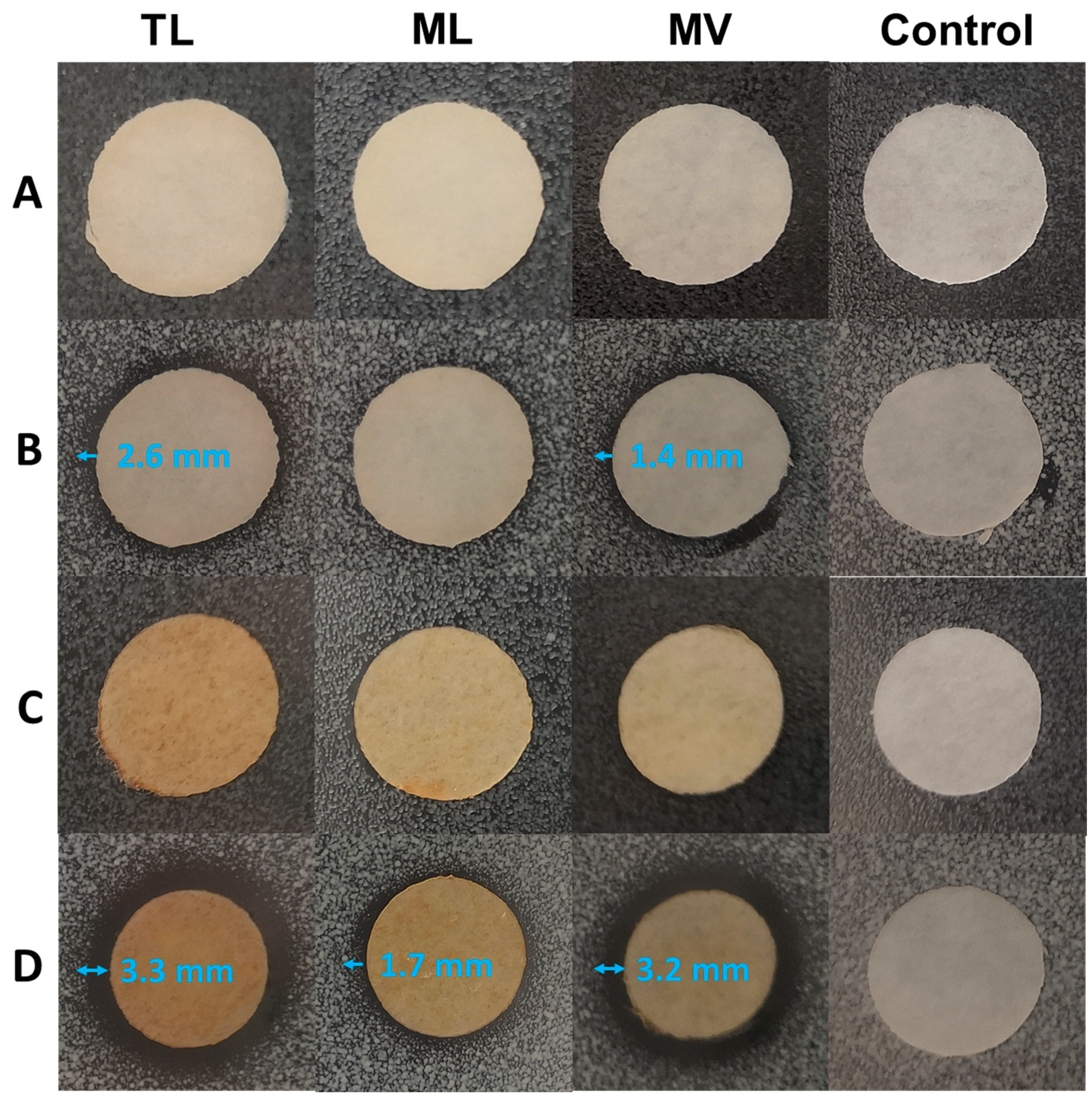 Biomolecules 10 01077 g007 Biomolecules 10 01077 g007