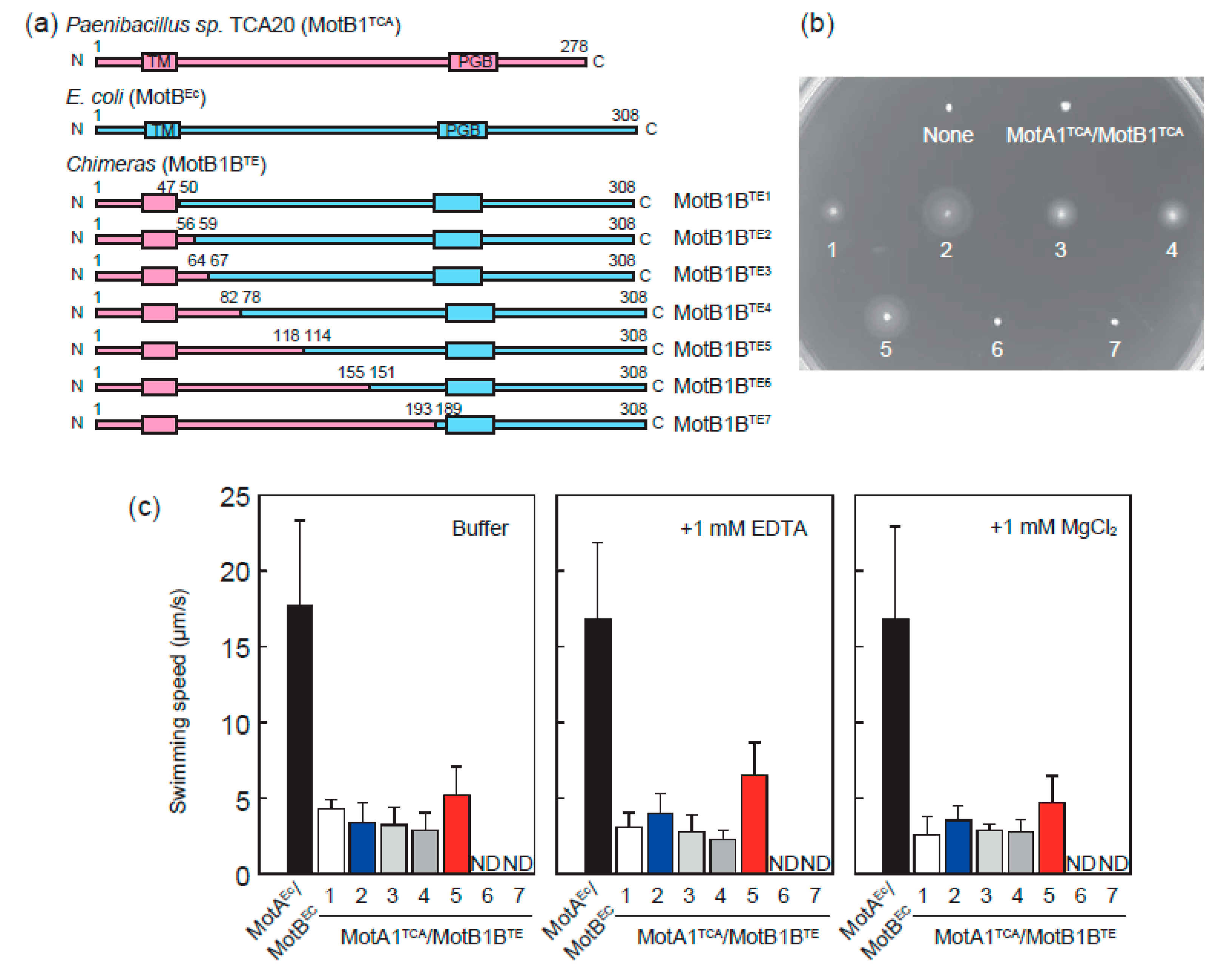 Biomolecules 10 01078 g002 Biomolecules 10 01078 g002