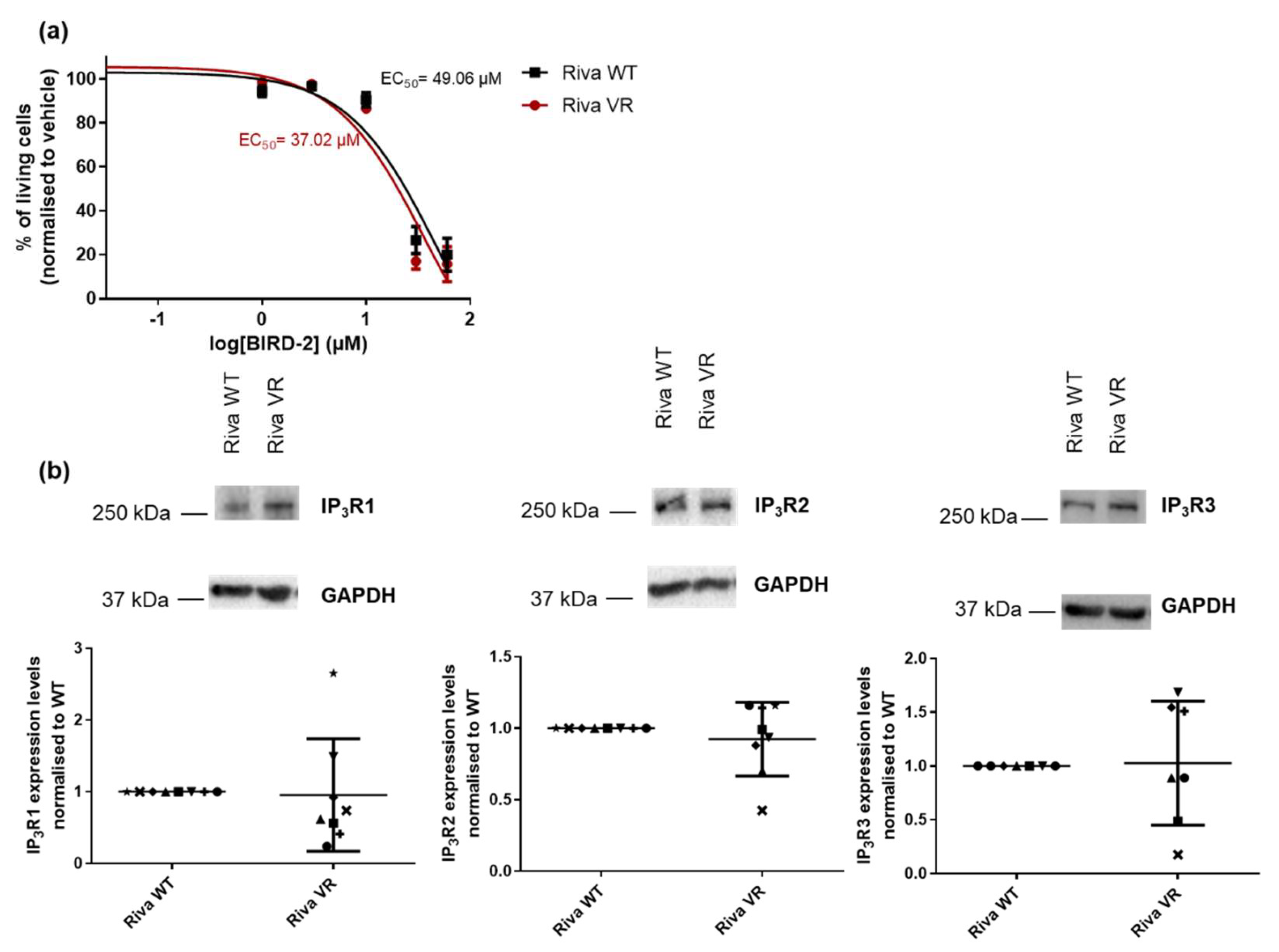 Biomolecules 10 01081 g002
