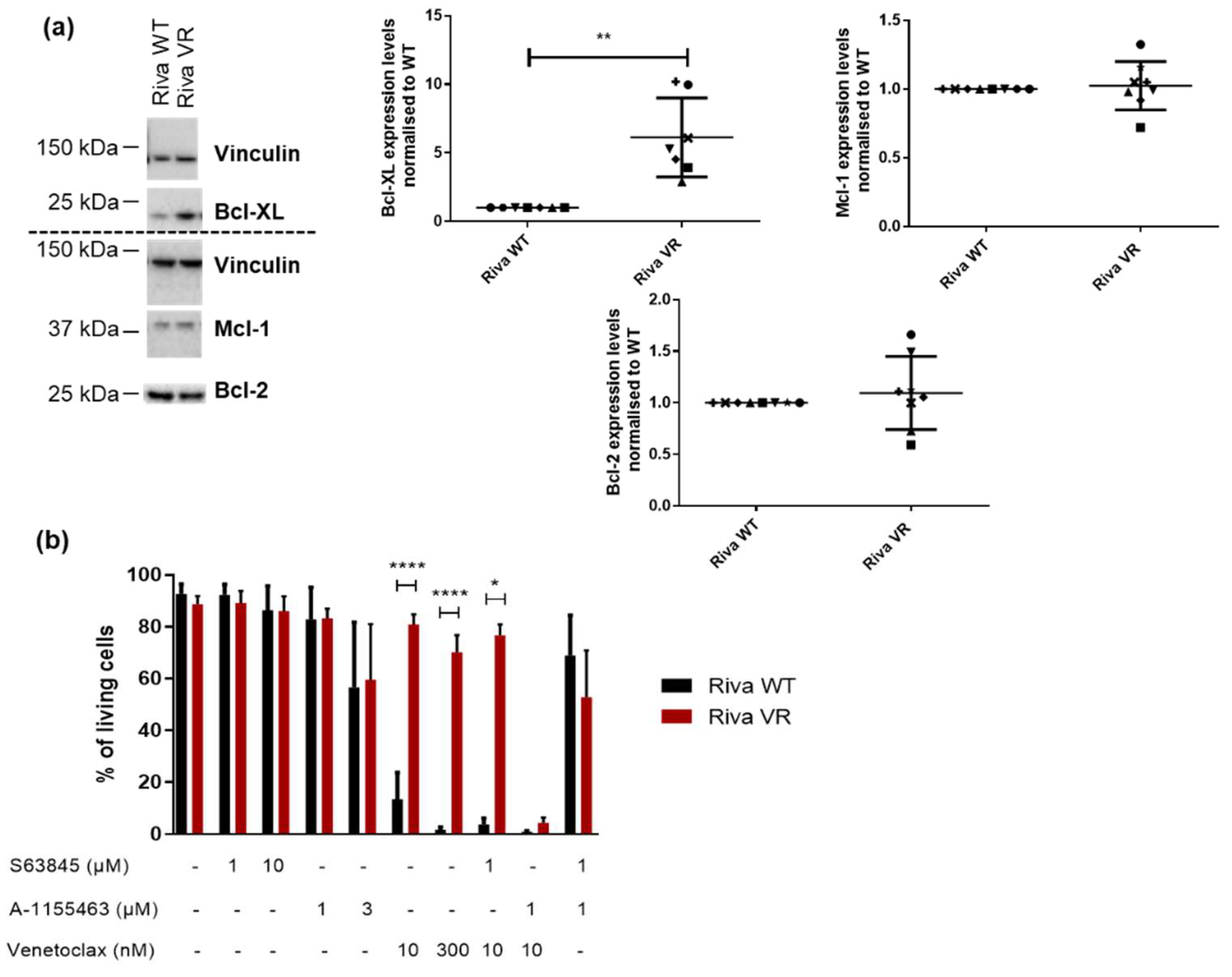 Biomolecules 10 01081 g004