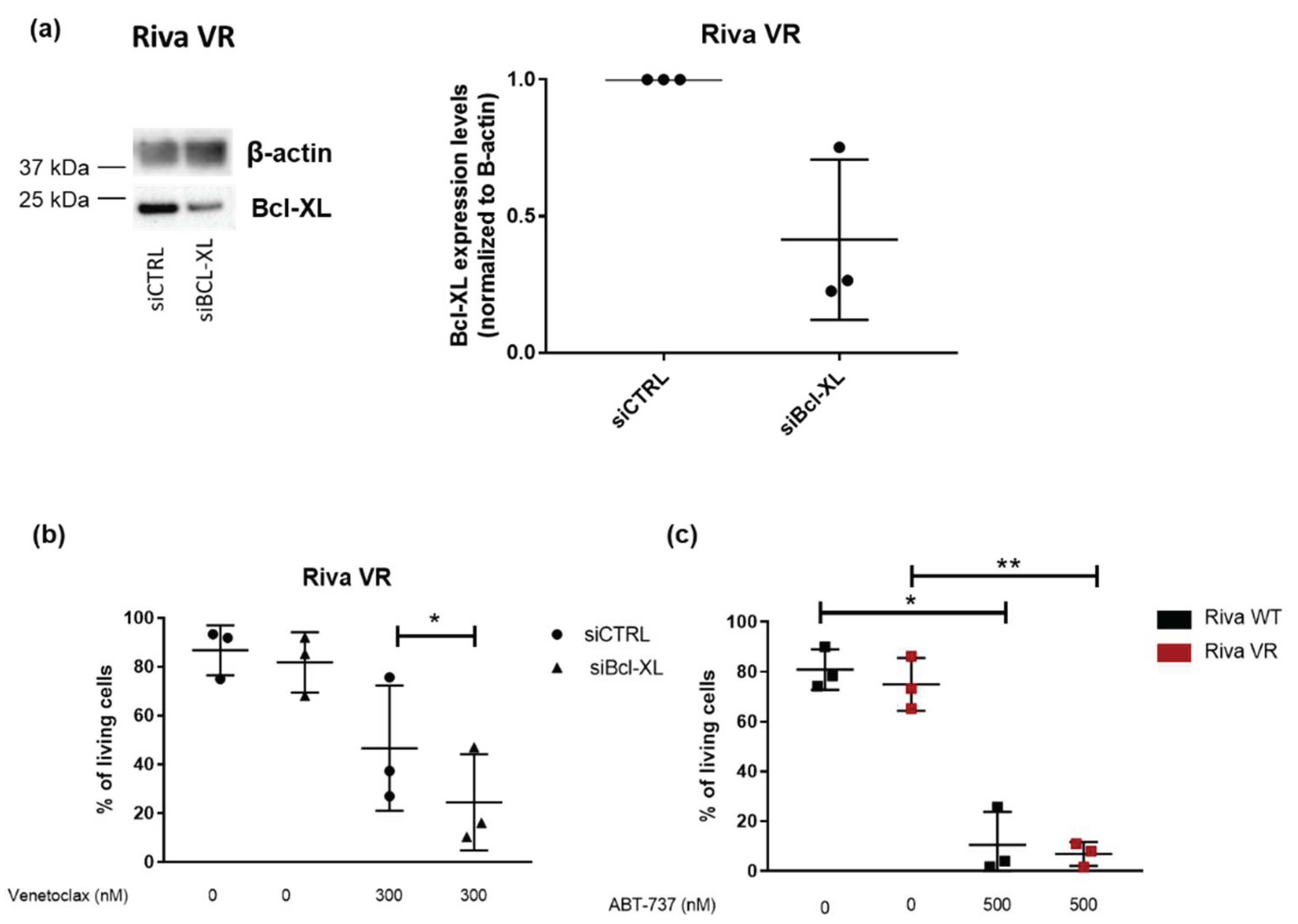 Biomolecules 10 01081 g005