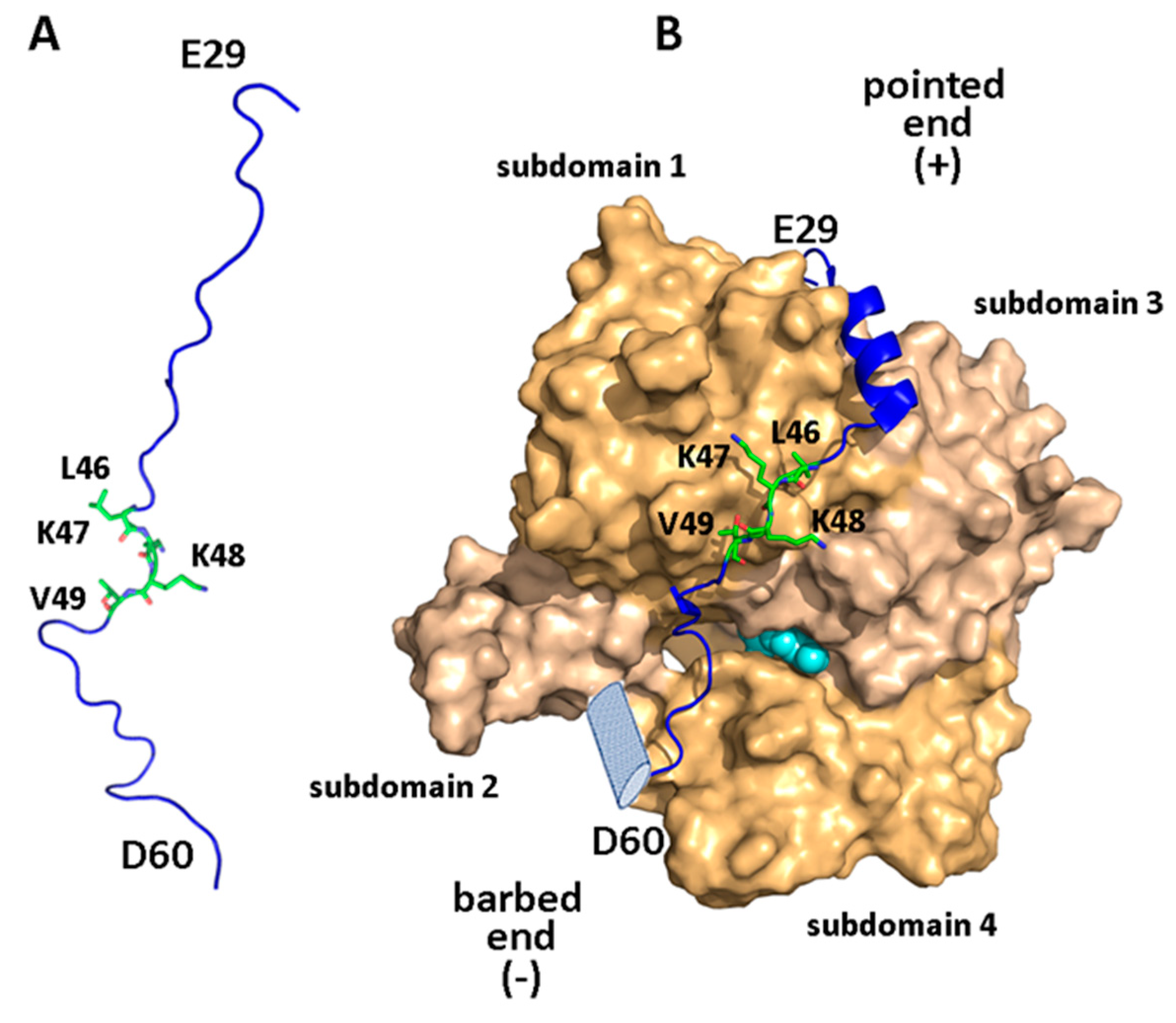 Biomolecules 10 01084 g003 Biomolecules 10 01084 g003