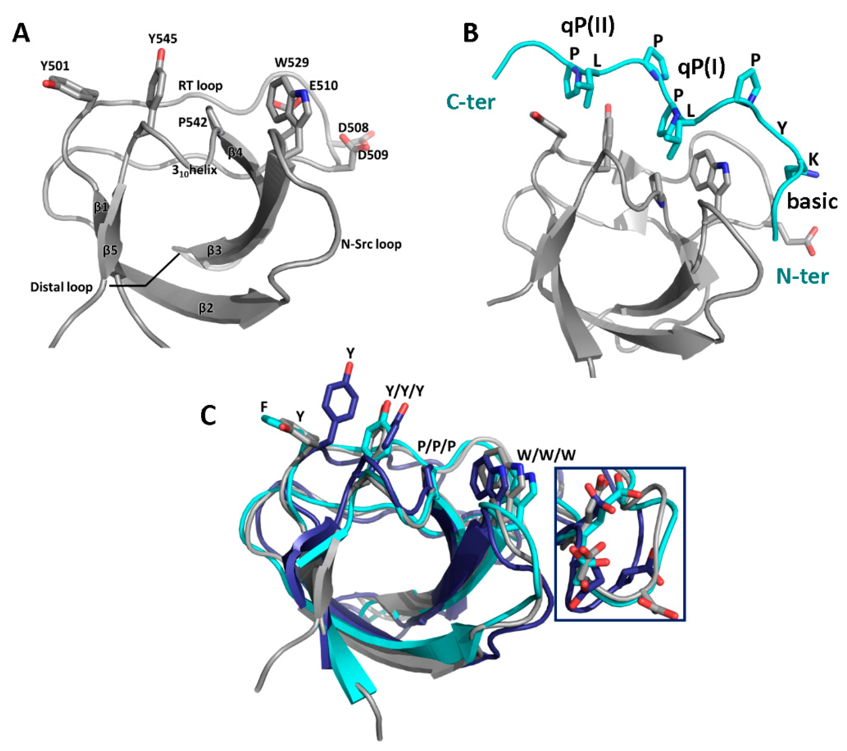 Biomolecules 10 01084 g004 Biomolecules 10 01084 g004