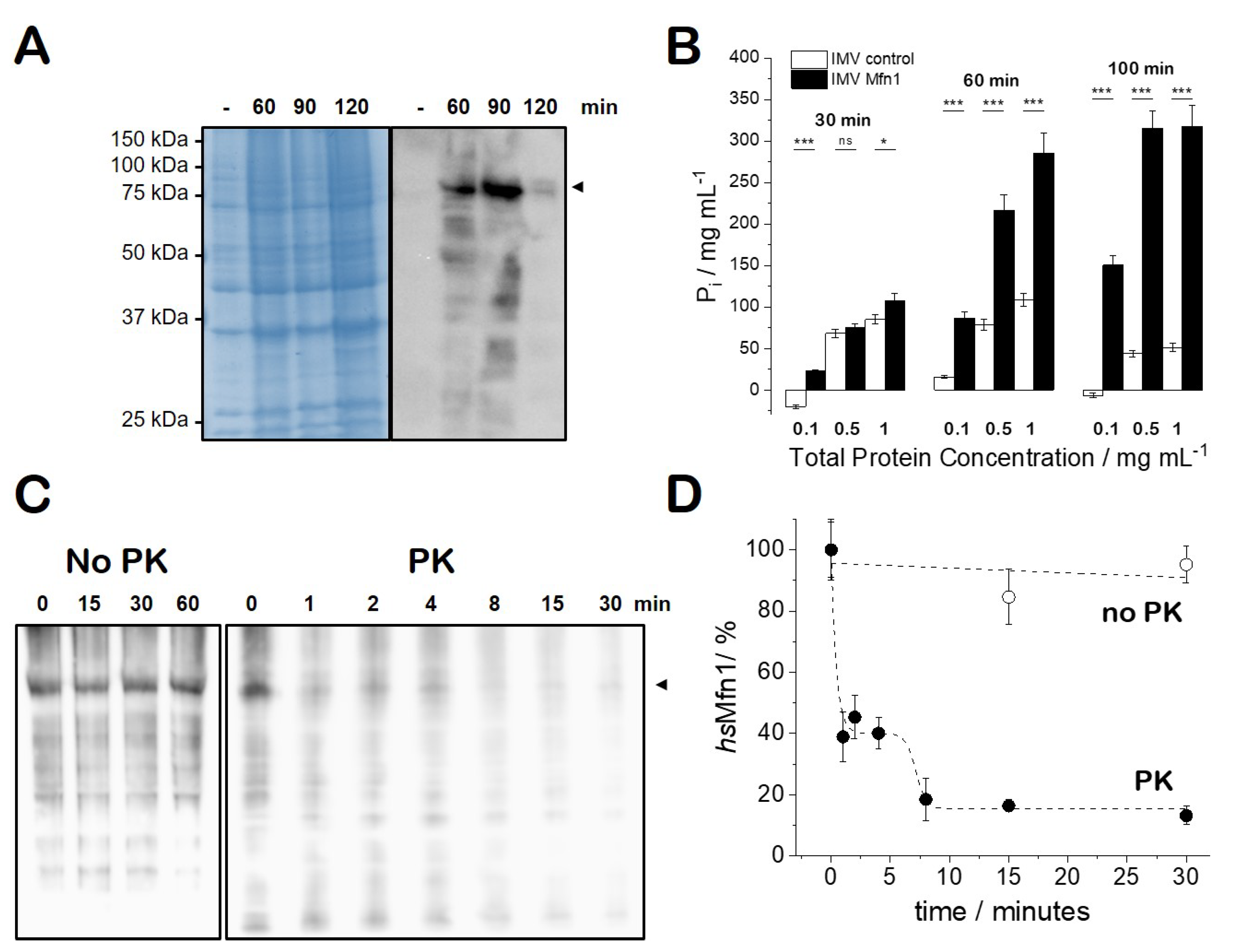 Biomolecules 10 01085 g001